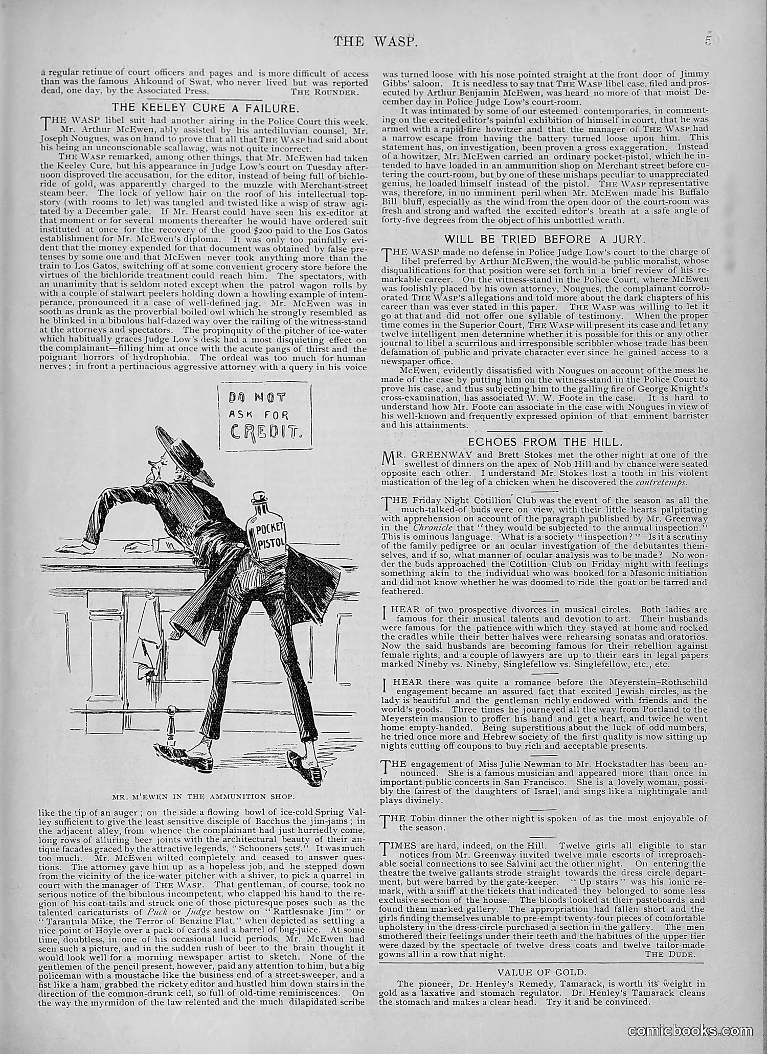 The Wasp — 1894 — page 456 of 524