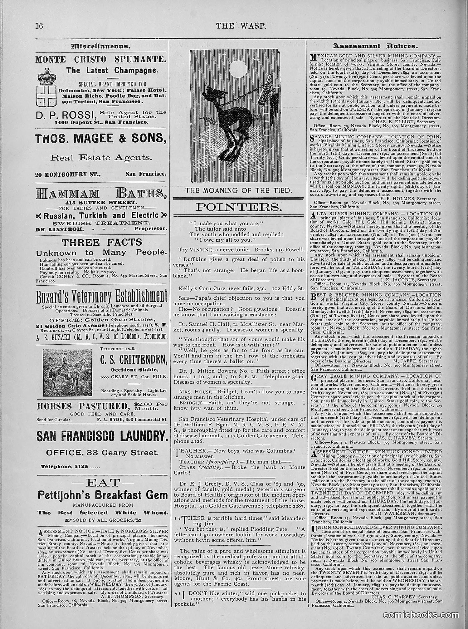The Wasp — 1894 — page 467 of 524