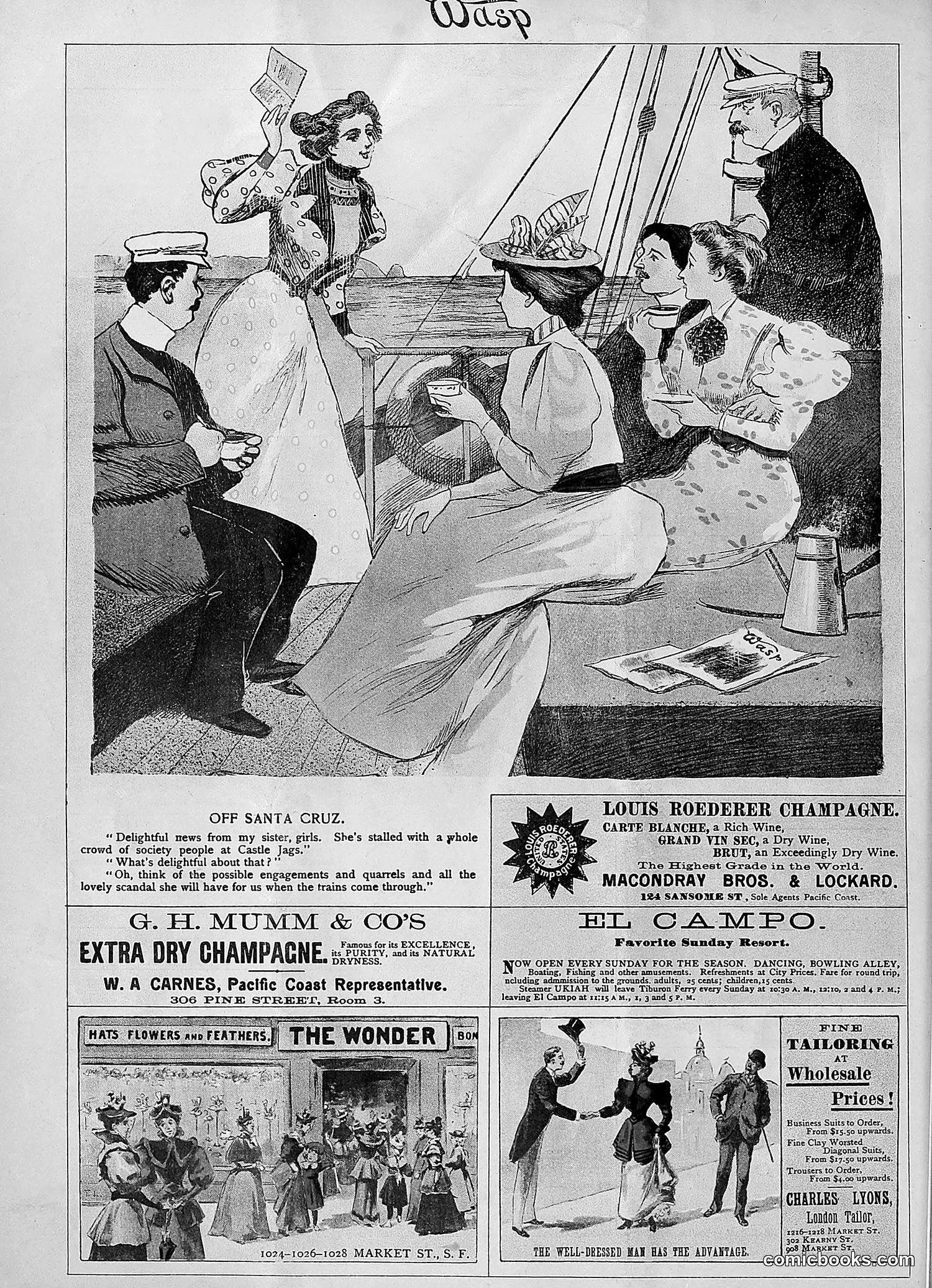 The Wasp — 1894 — page 49 of 524