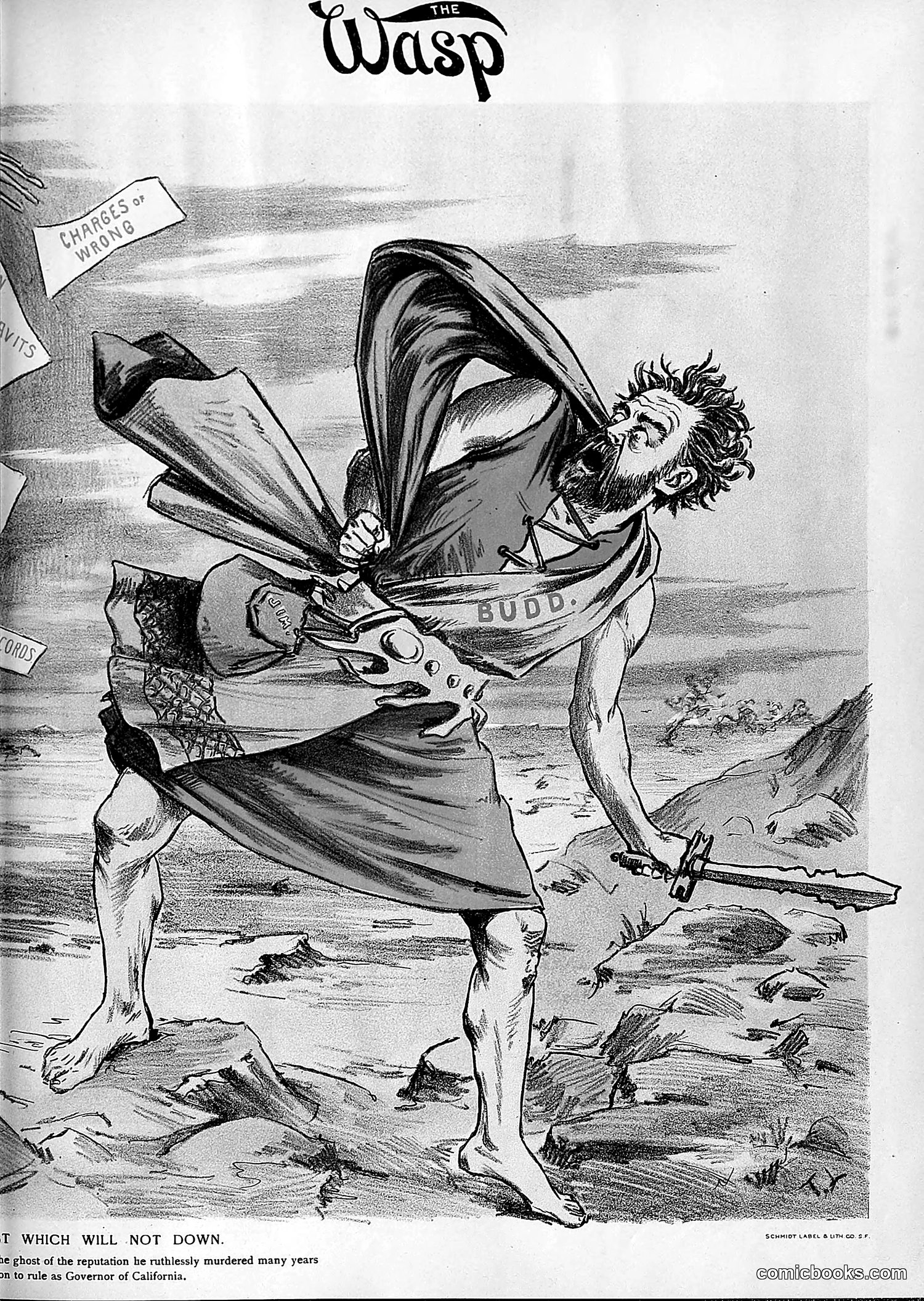 The Wasp — 1894 — page 482 of 524