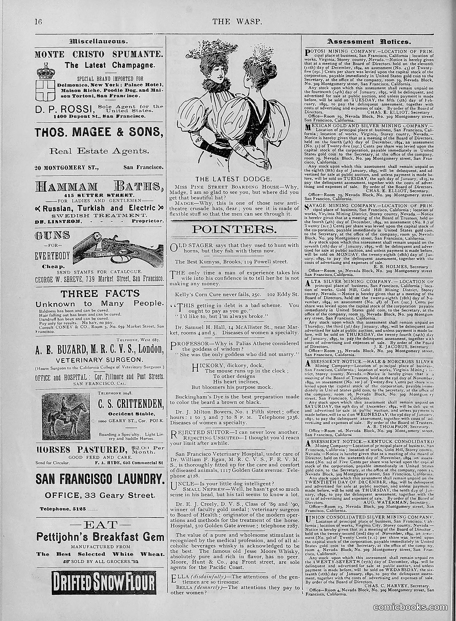 The Wasp — 1894 — page 487 of 524