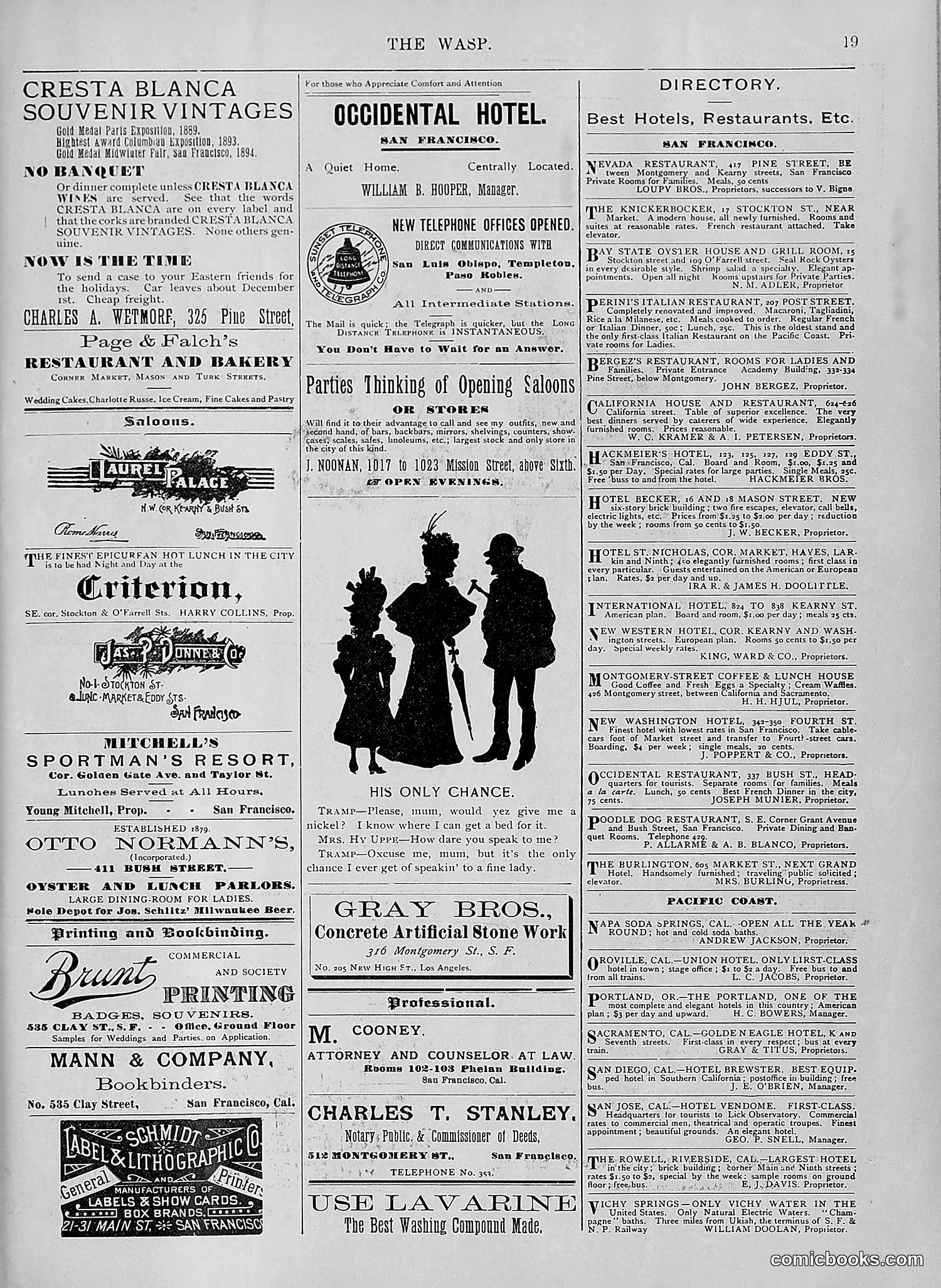 The Wasp — 1894 — page 490 of 524