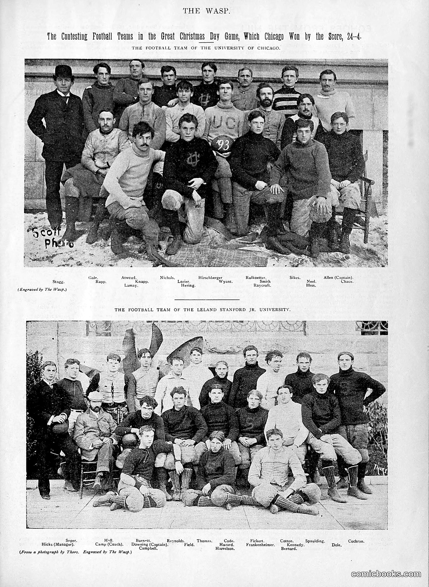 The Wasp — 1894 — page 494 of 524