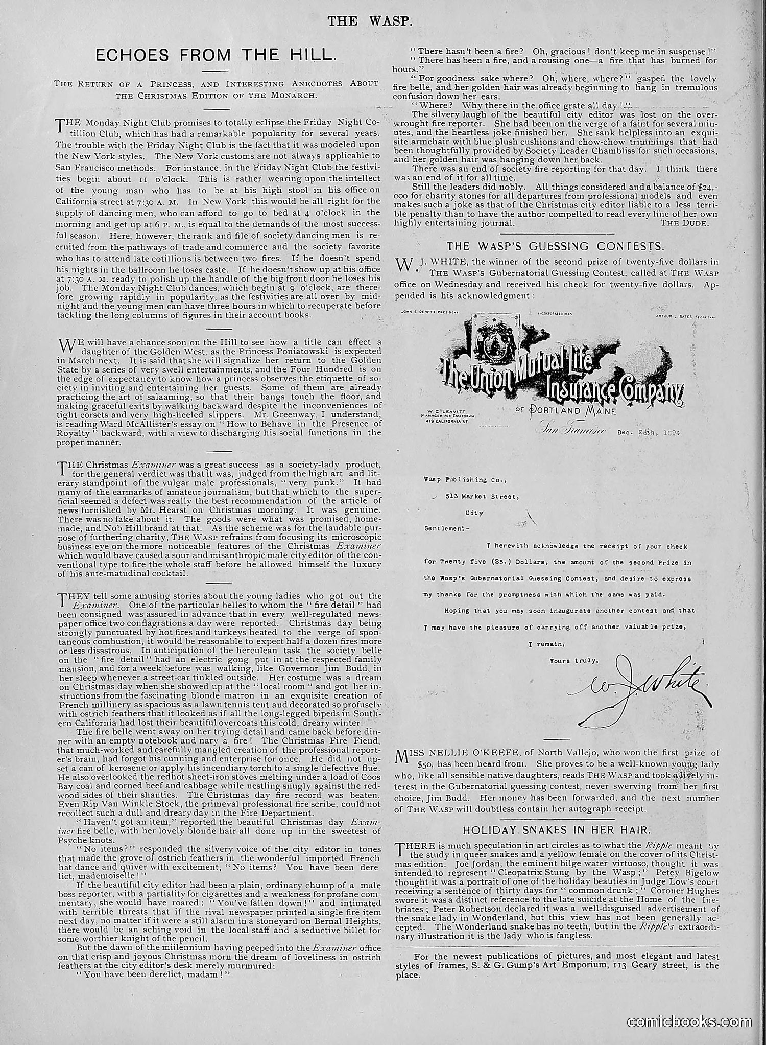 The Wasp — 1894 — page 495 of 524