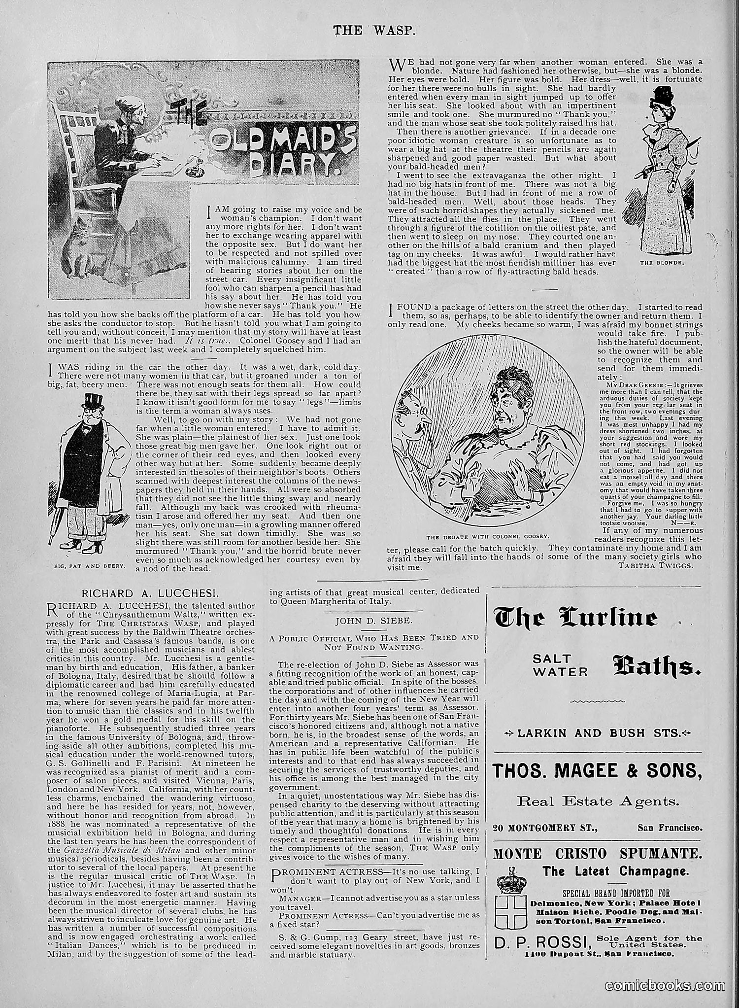 The Wasp — 1894 — page 501 of 524