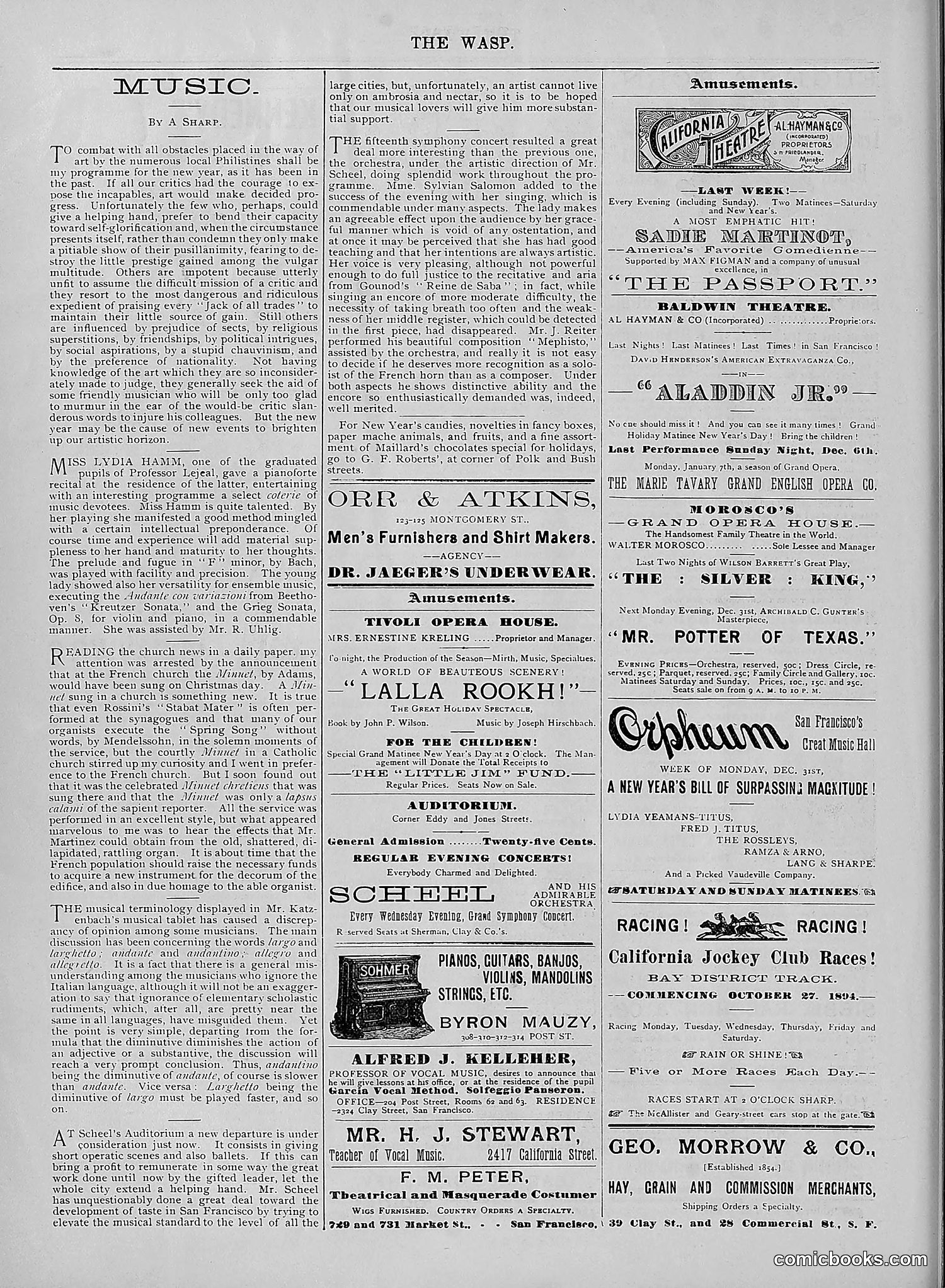 The Wasp — 1894 — page 507 of 524