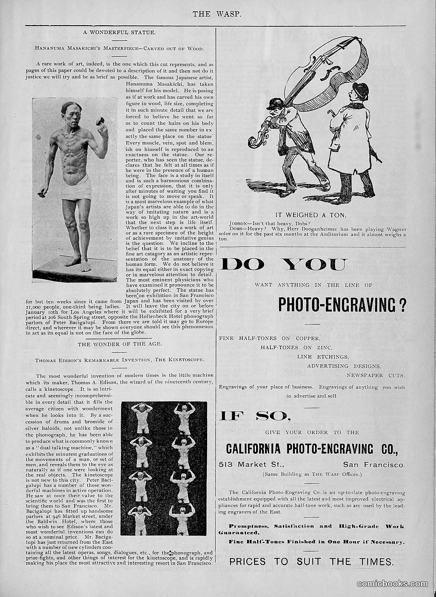 The Wasp — 1894 — page 508 of 524