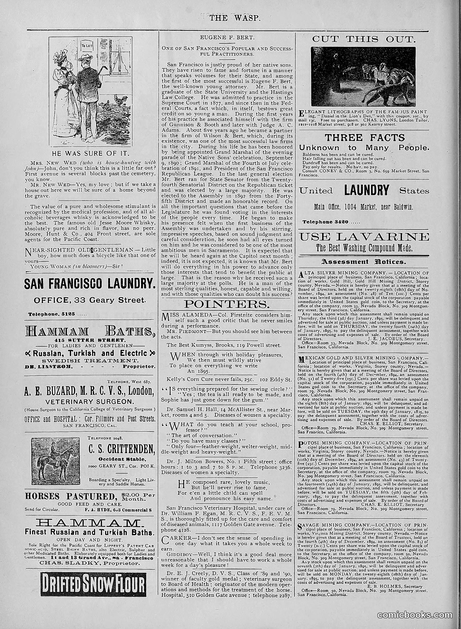 The Wasp — 1894 — page 509 of 524
