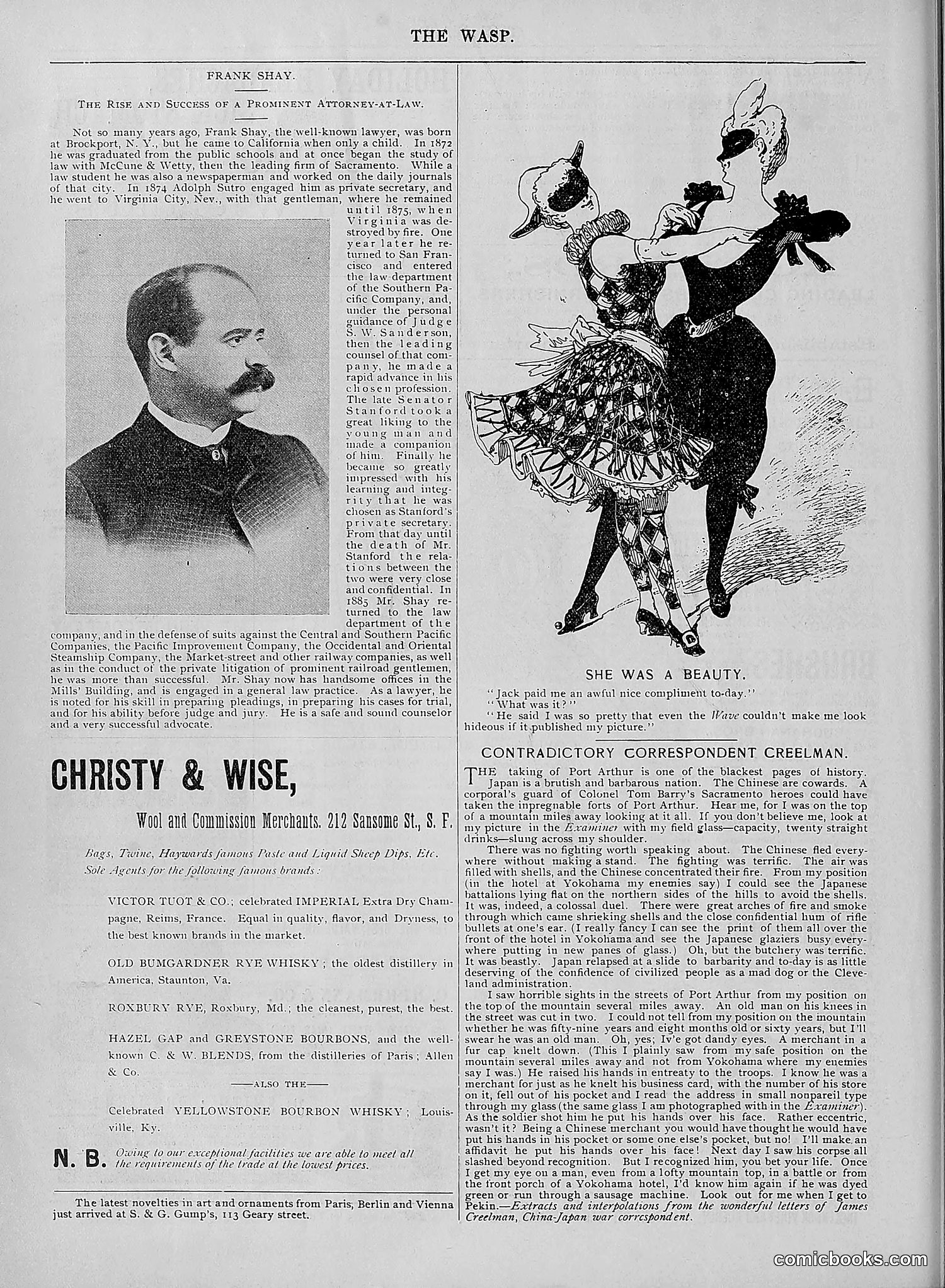 The Wasp — 1894 — page 511 of 524
