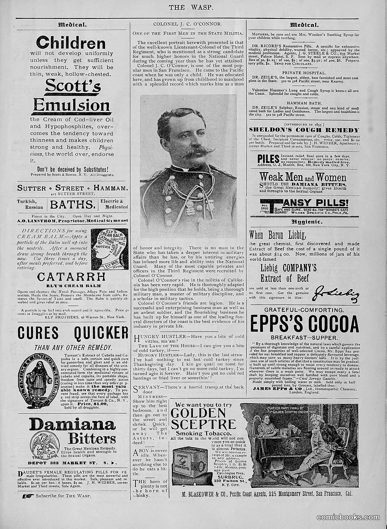 The Wasp — 1894 — page 512 of 524
