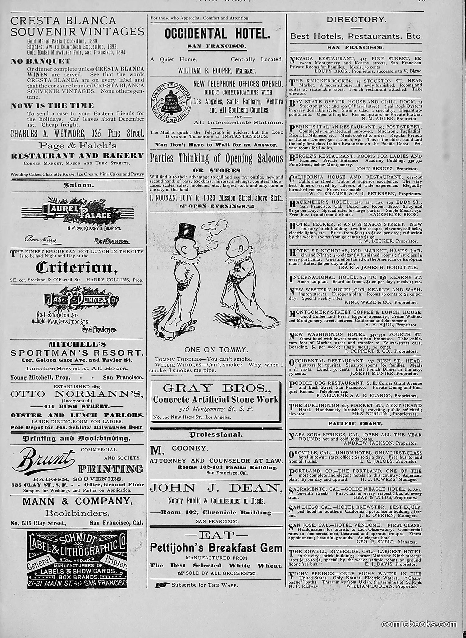 The Wasp — 1894 — page 514 of 524