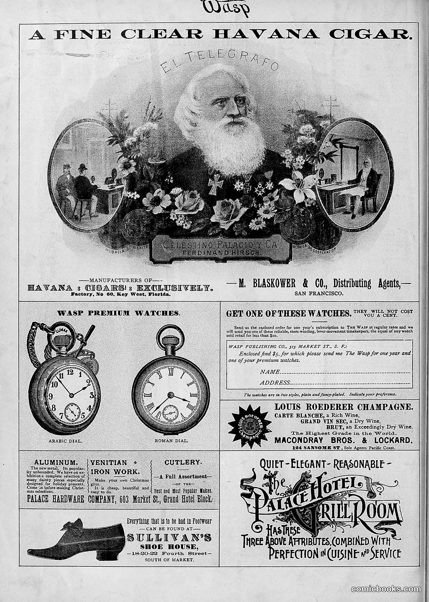 The Wasp — 1894 — page 515 of 524