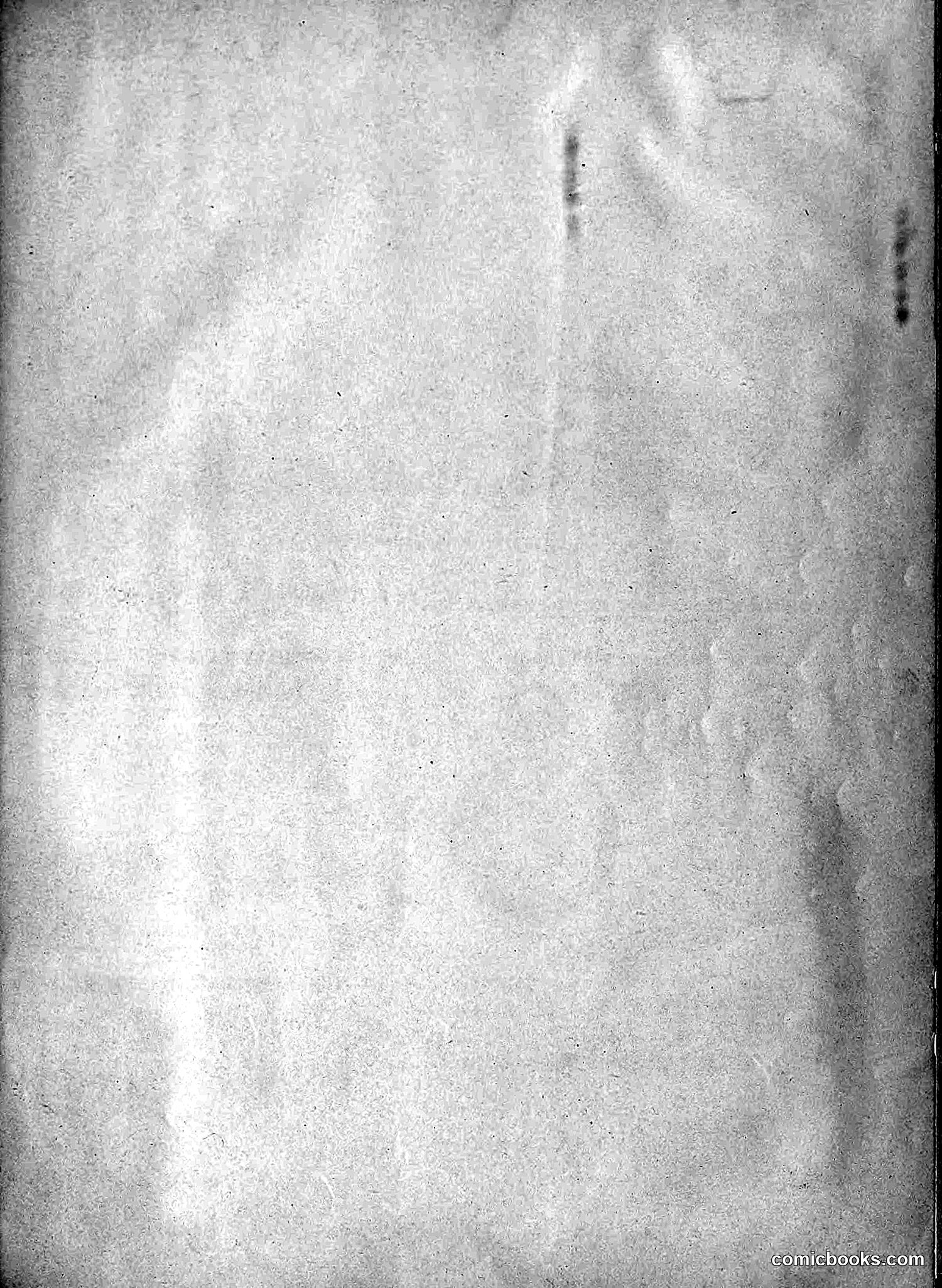 The Wasp — 1894 — page 516 of 524