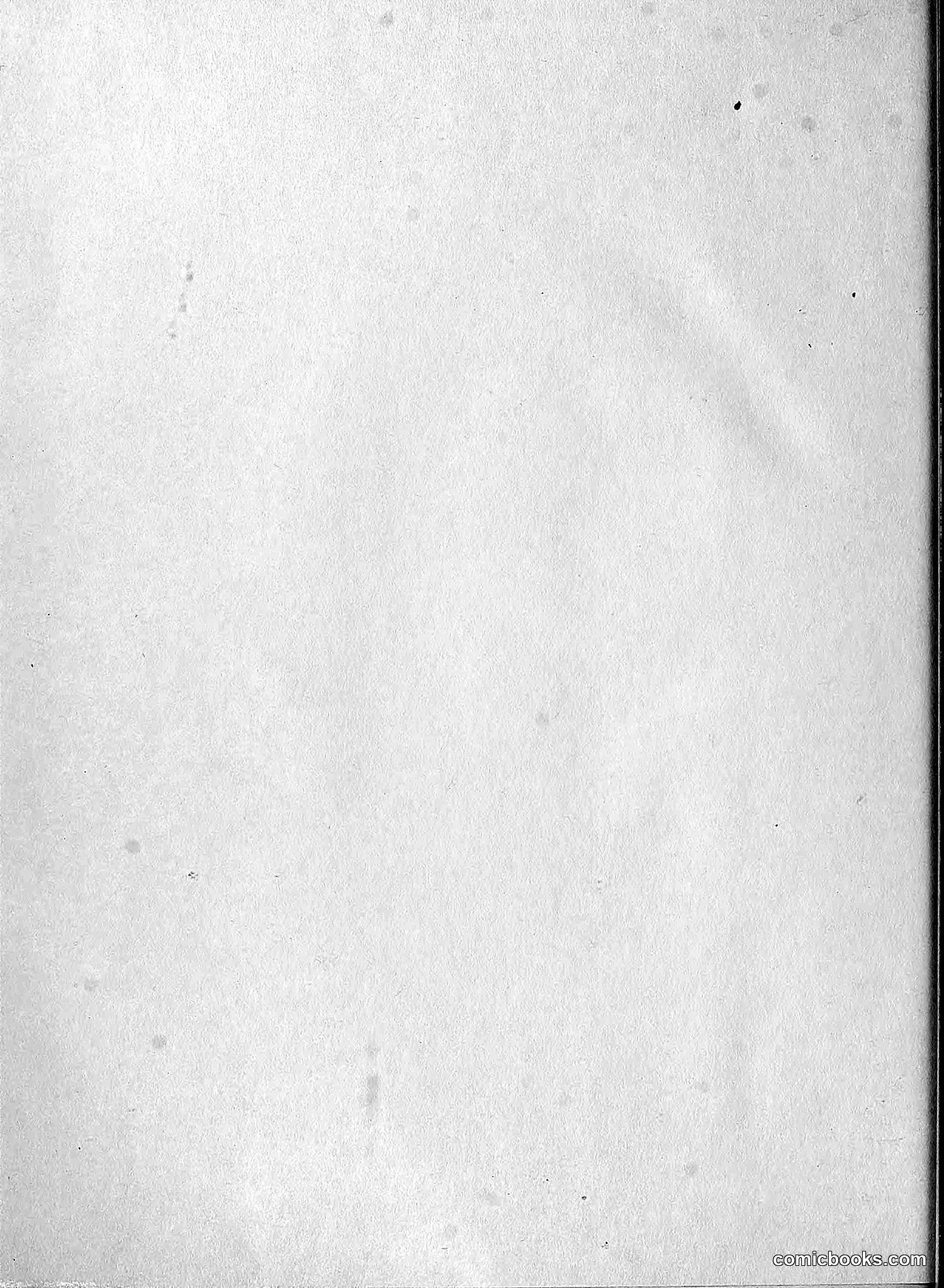 The Wasp — 1894 — page 519 of 524