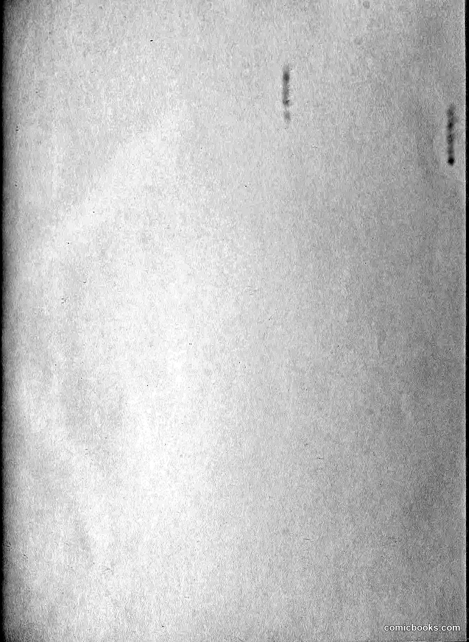 The Wasp — 1894 — page 520 of 524