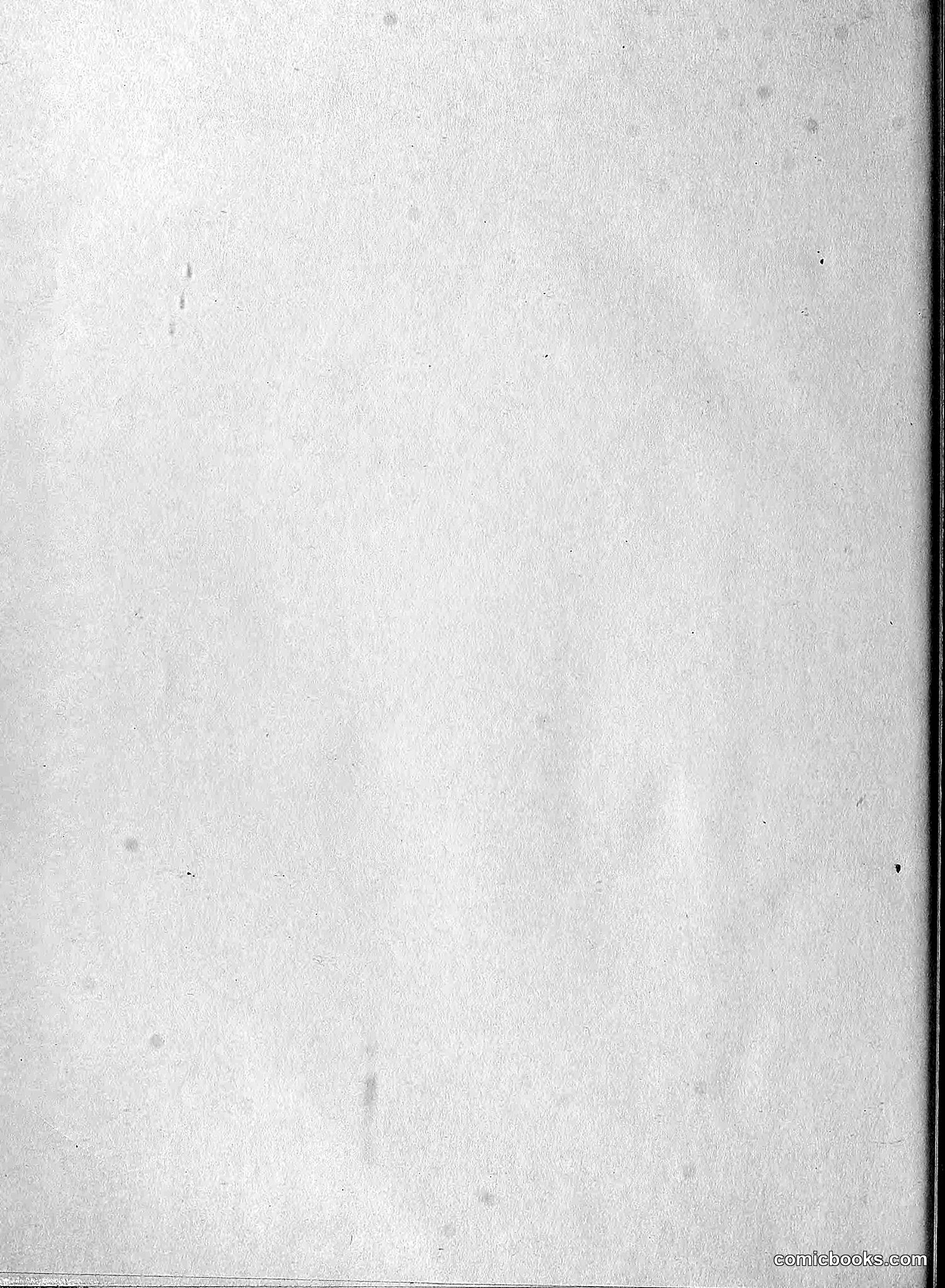 The Wasp — 1894 — page 521 of 524
