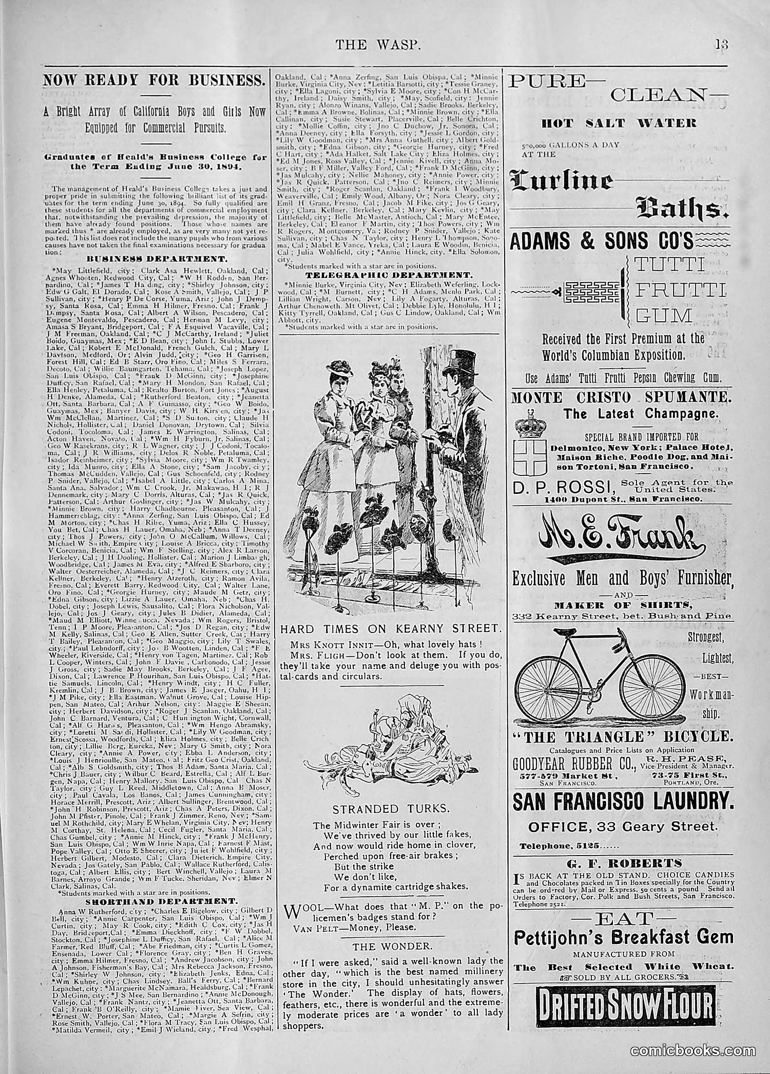 The Wasp — 1894 — page 62 of 524