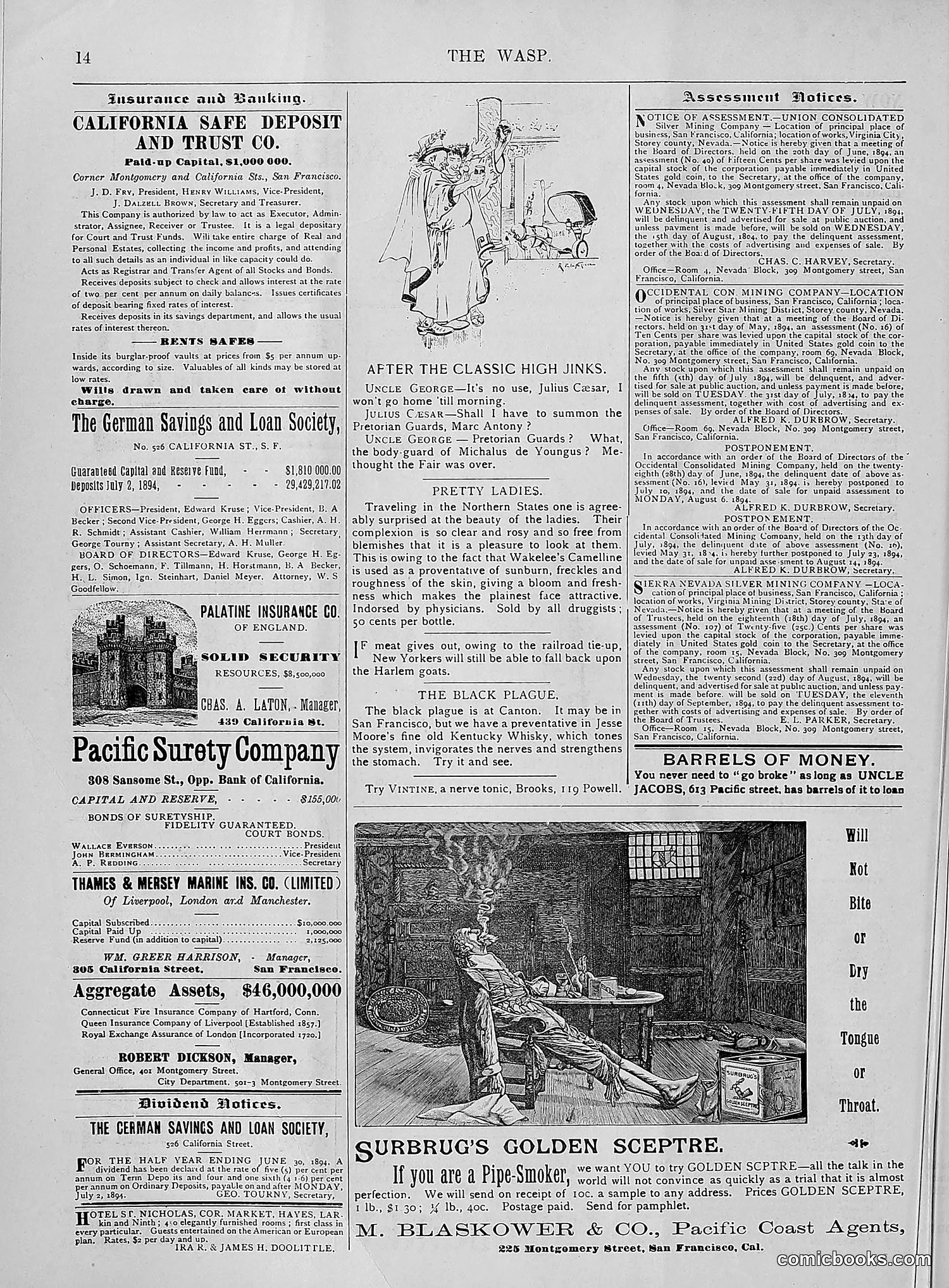 The Wasp — 1894 — page 63 of 524