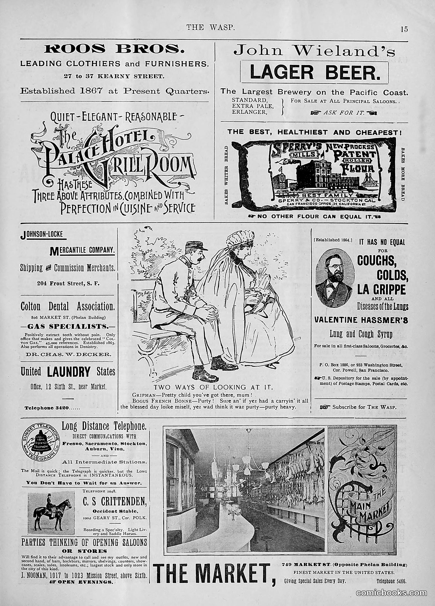 The Wasp — 1894 — page 64 of 524