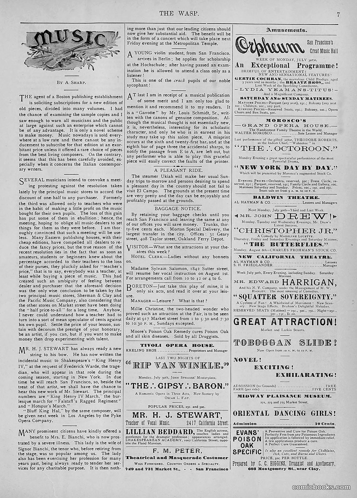 The Wasp — 1894 — page 76 of 524