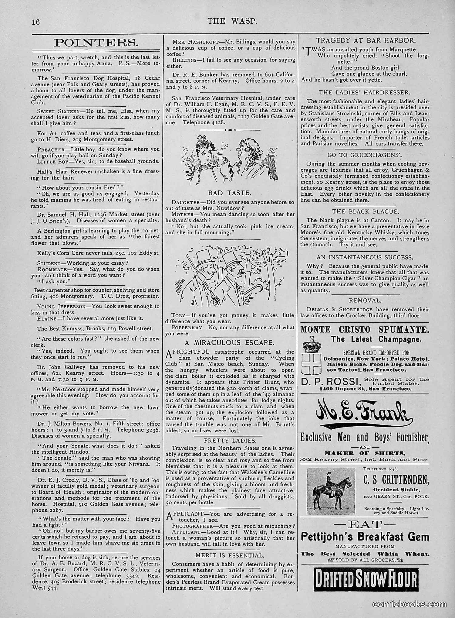 The Wasp — 1894 — page 85 of 524