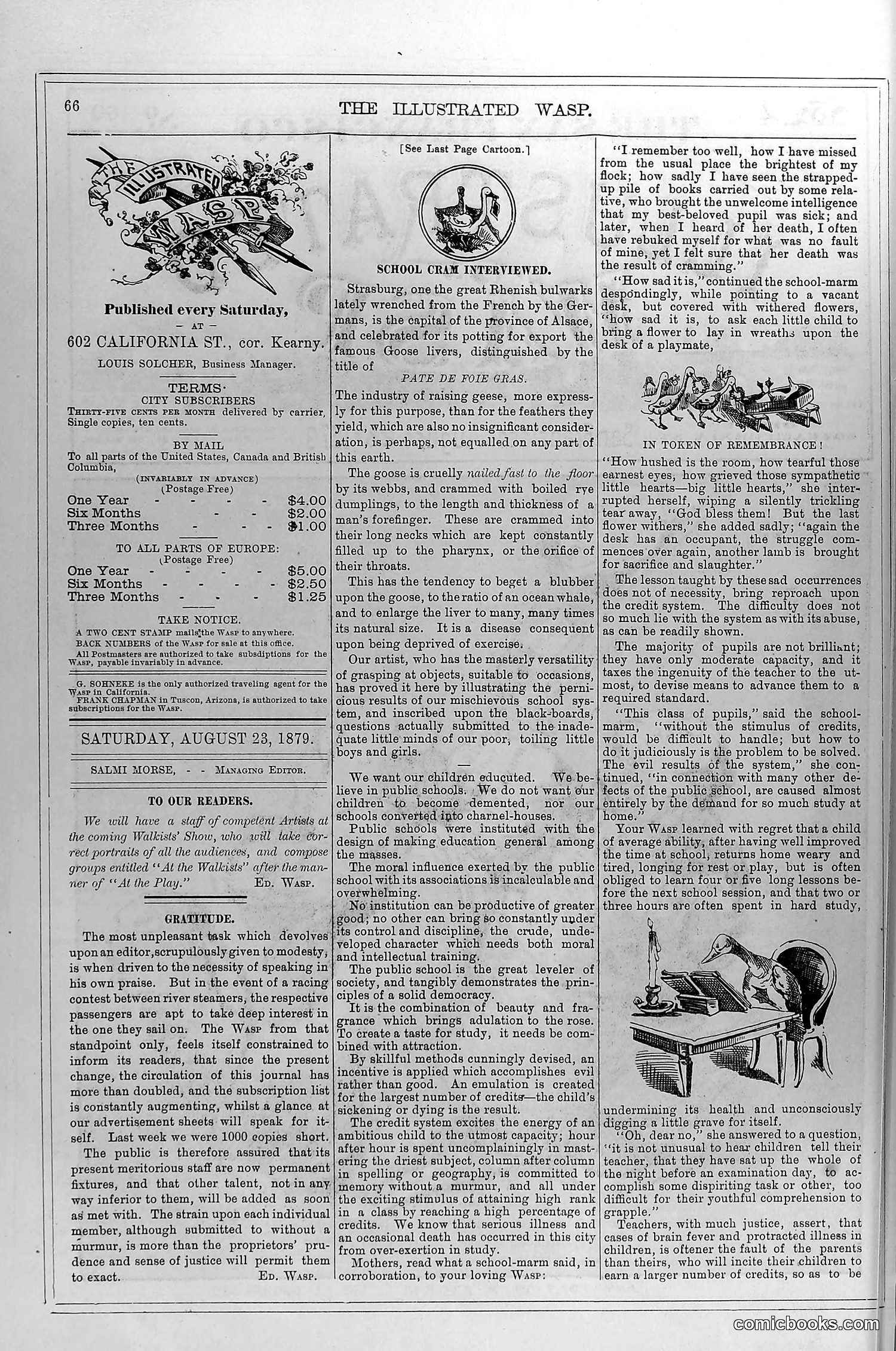 The Wasp — August 23, 1879 — page 3 of 18