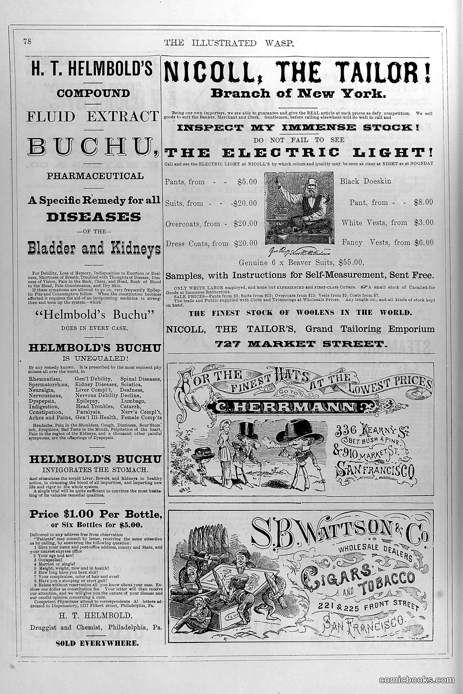 The Wasp — August 23, 1879 — page 15 of 18