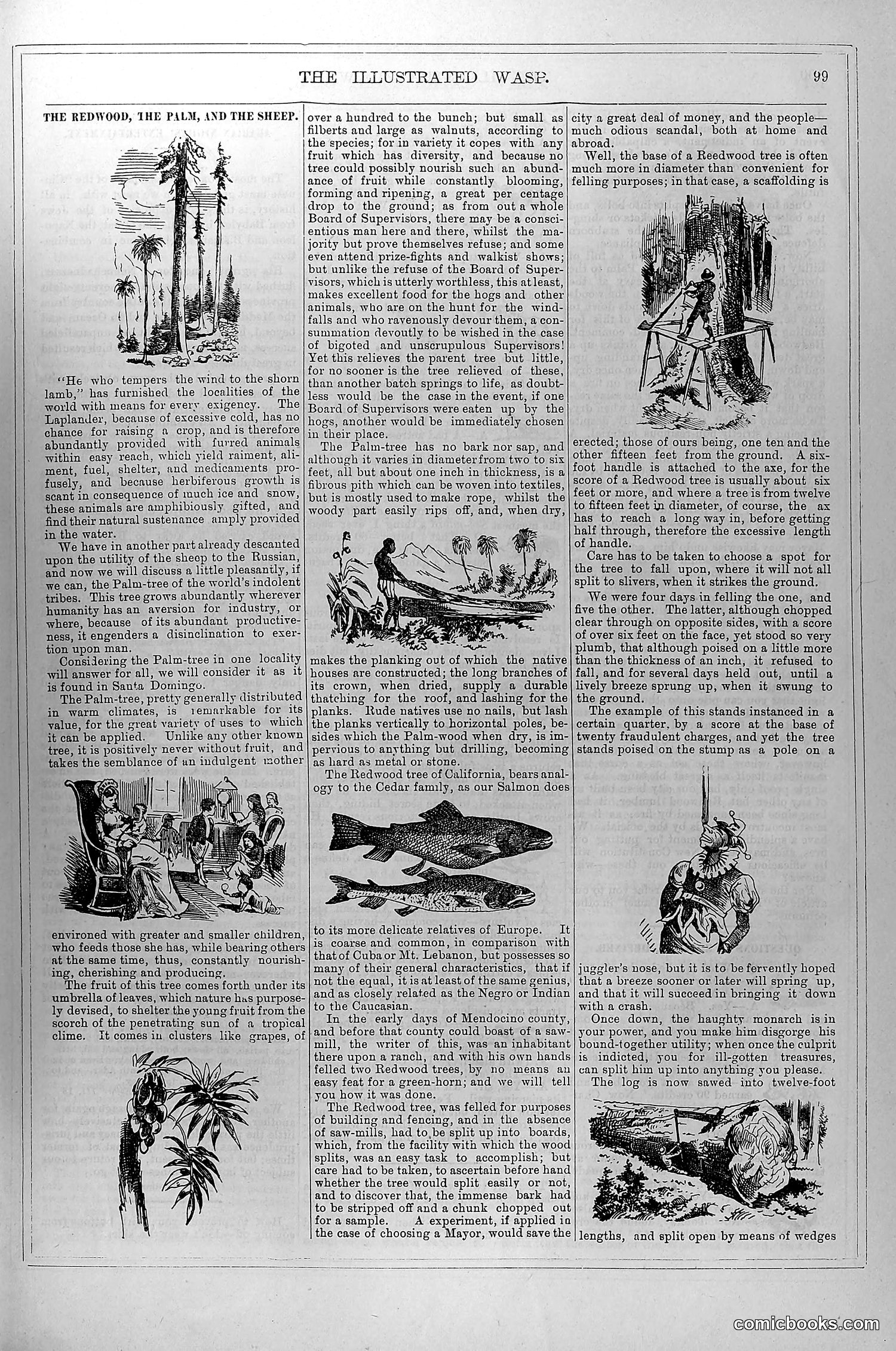 The Wasp — September 6, 1879 — page 4 of 18