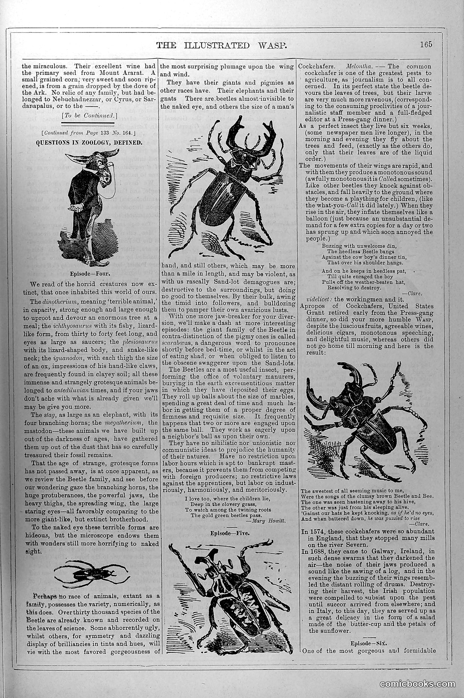 The Wasp — October 4, 1879 — page 6 of 18
