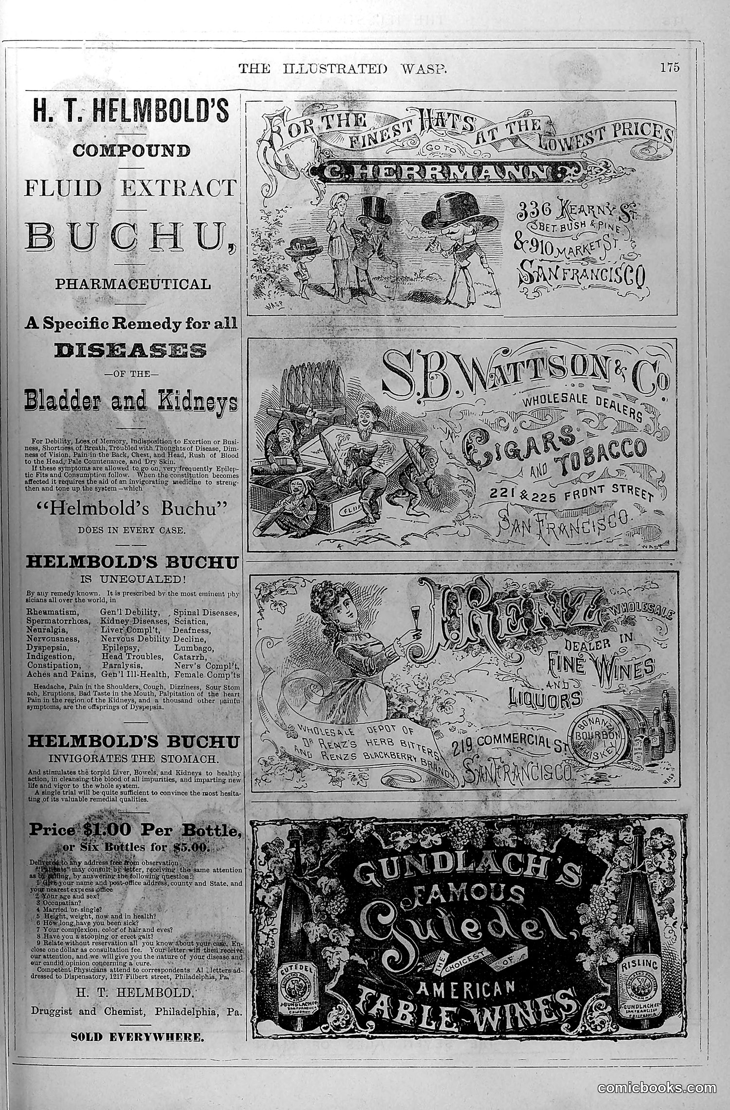 The Wasp — October 4, 1879 — page 16 of 18
