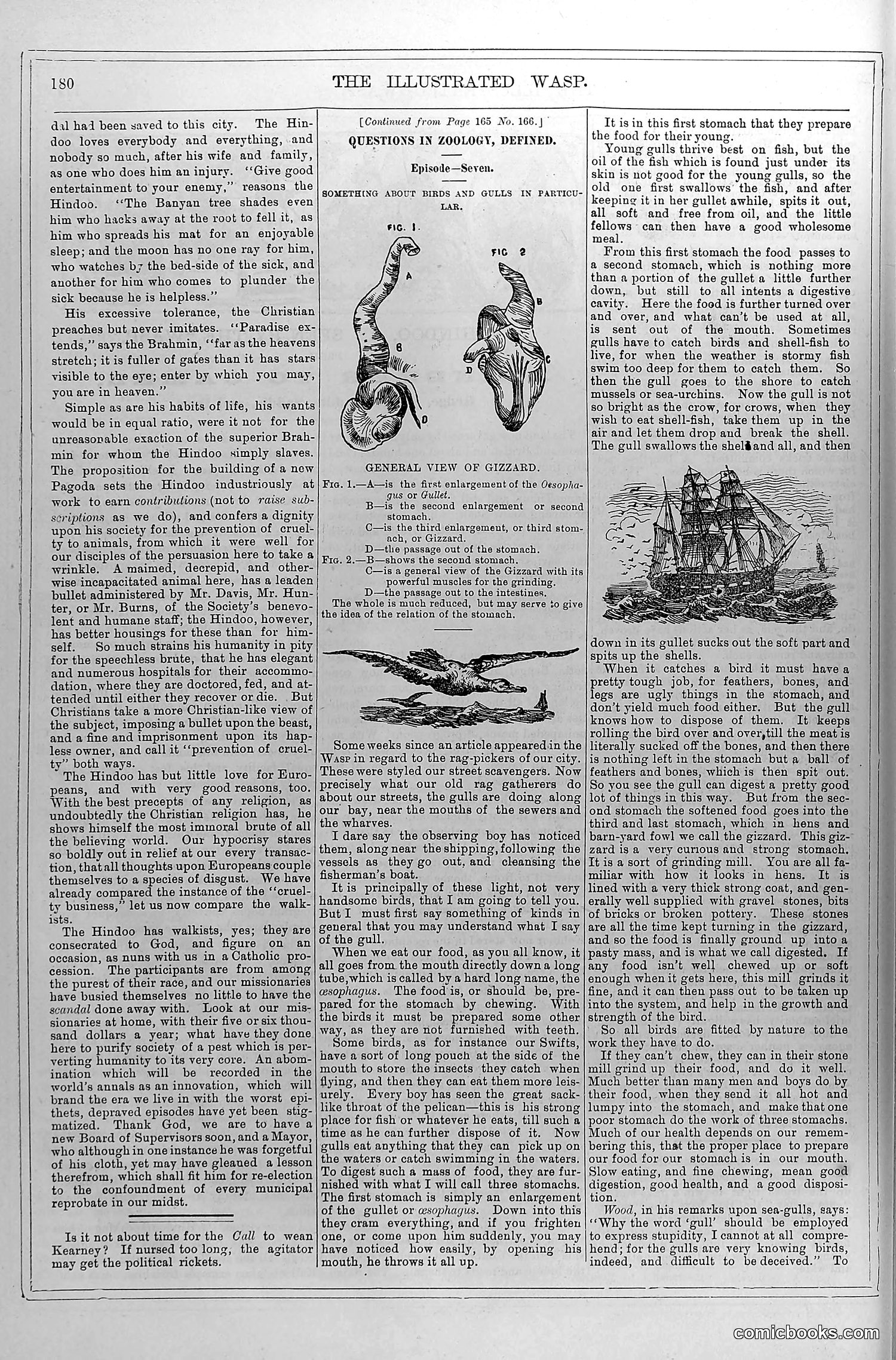The Wasp — October 11, 1879 — page 5 of 18