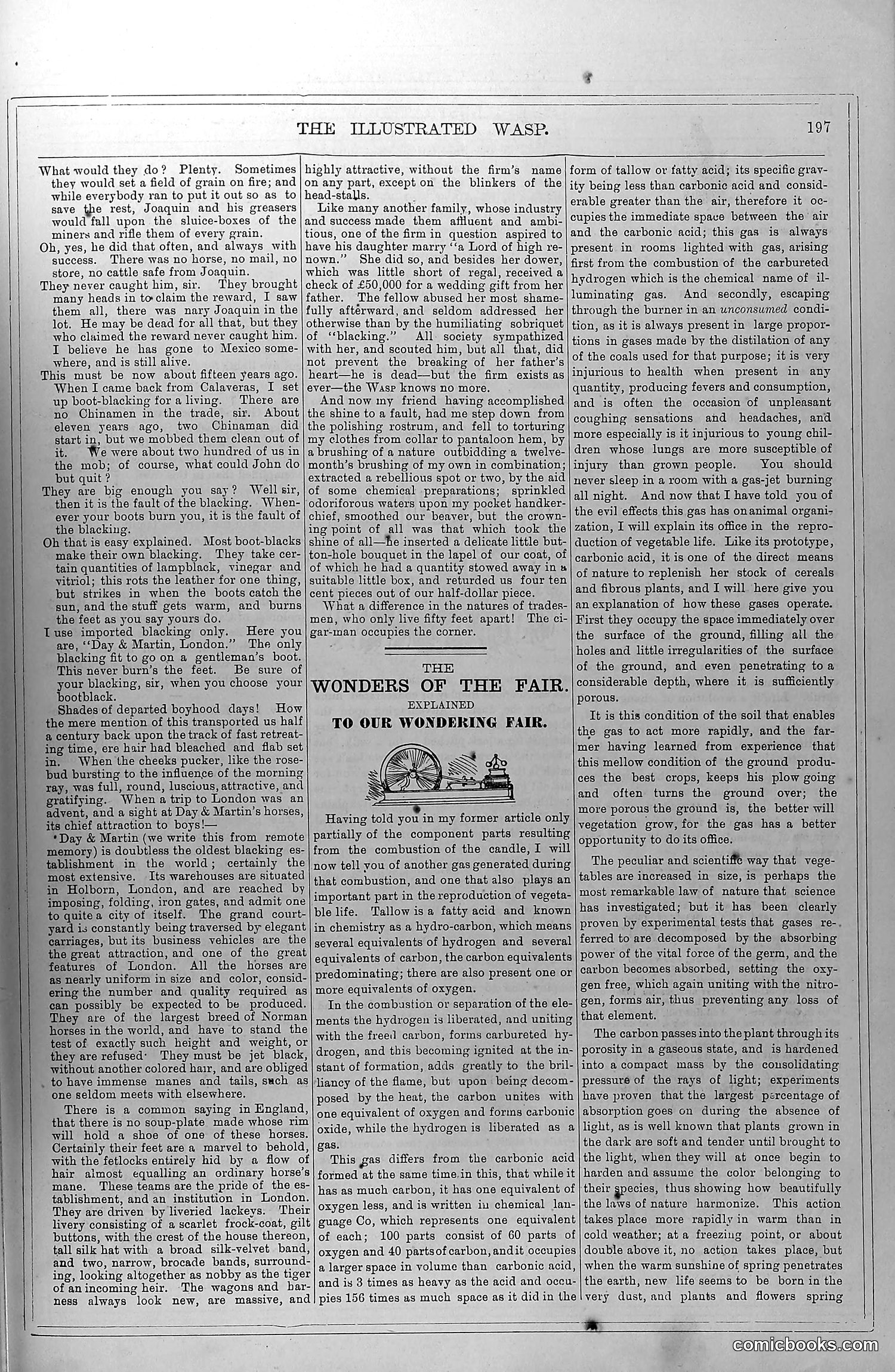 The Wasp — October 18, 1879 — page 6 of 18