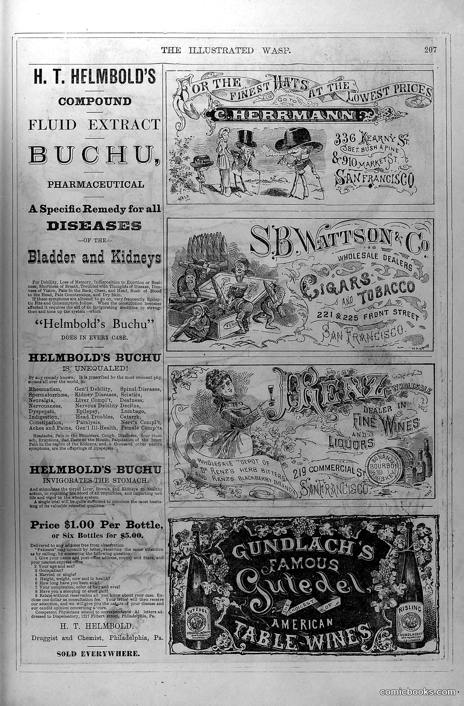The Wasp — October 18, 1879 — page 16 of 18