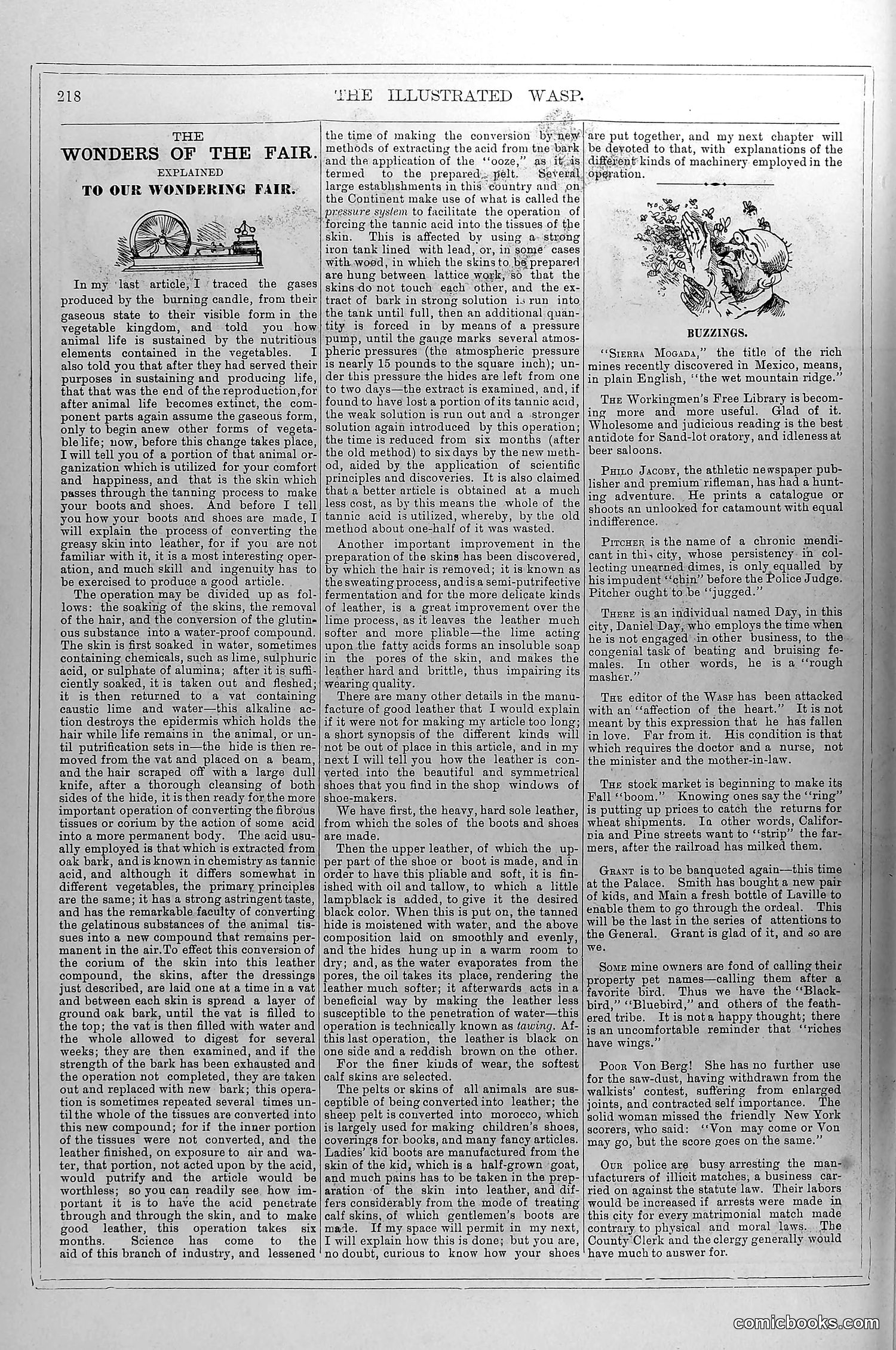 The Wasp — October 25, 1879 — page 11 of 18