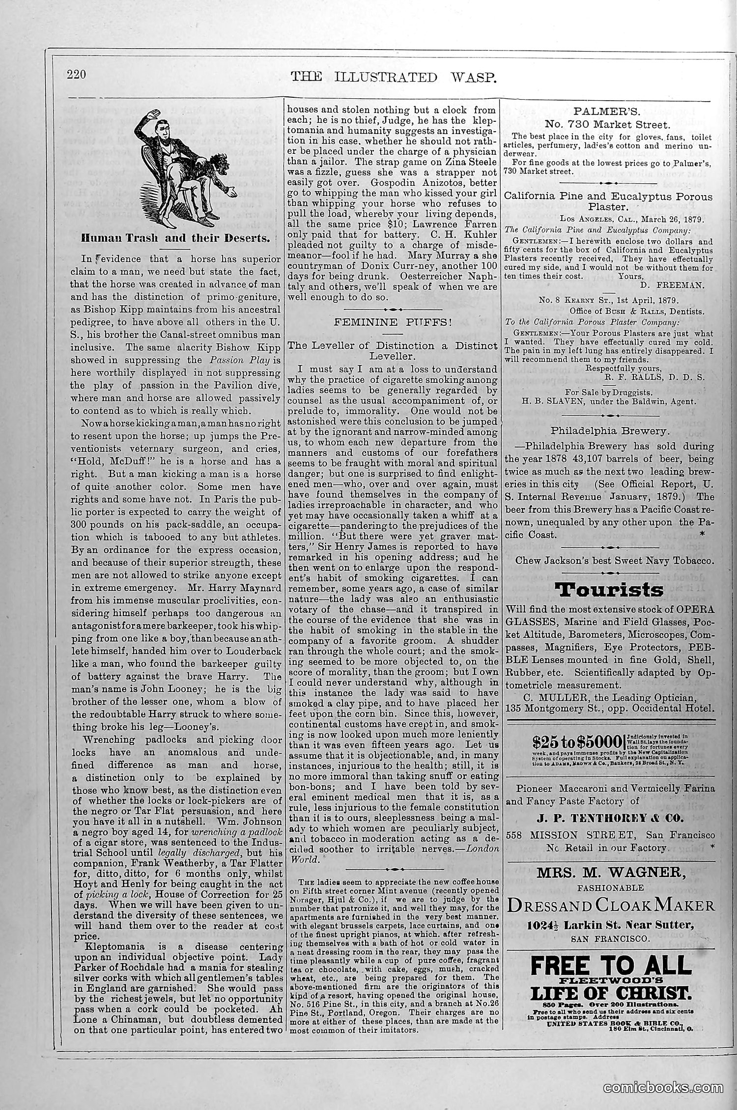 The Wasp — October 25, 1879 — page 13 of 18