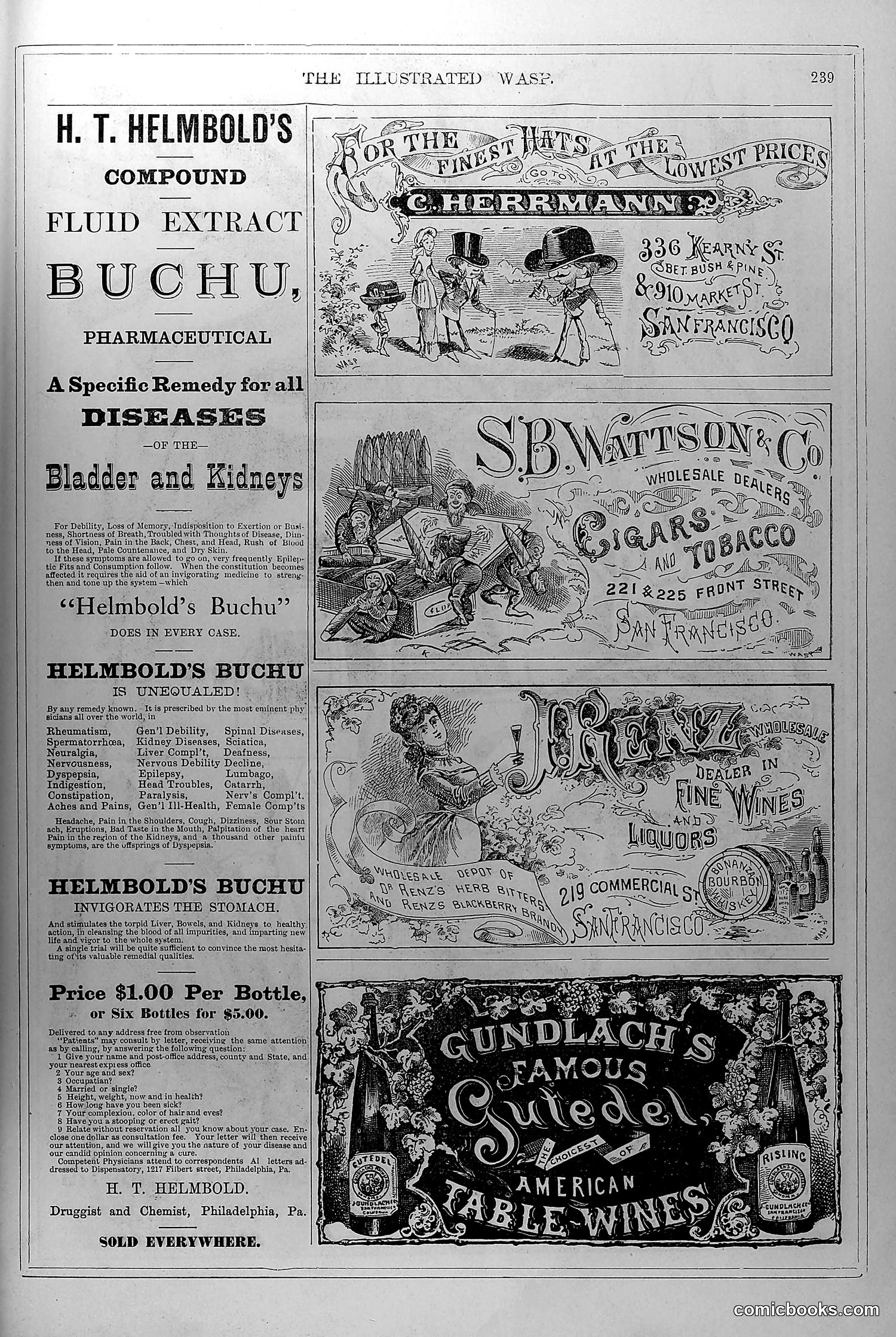 The Wasp — November 1, 1879 — page 16 of 18