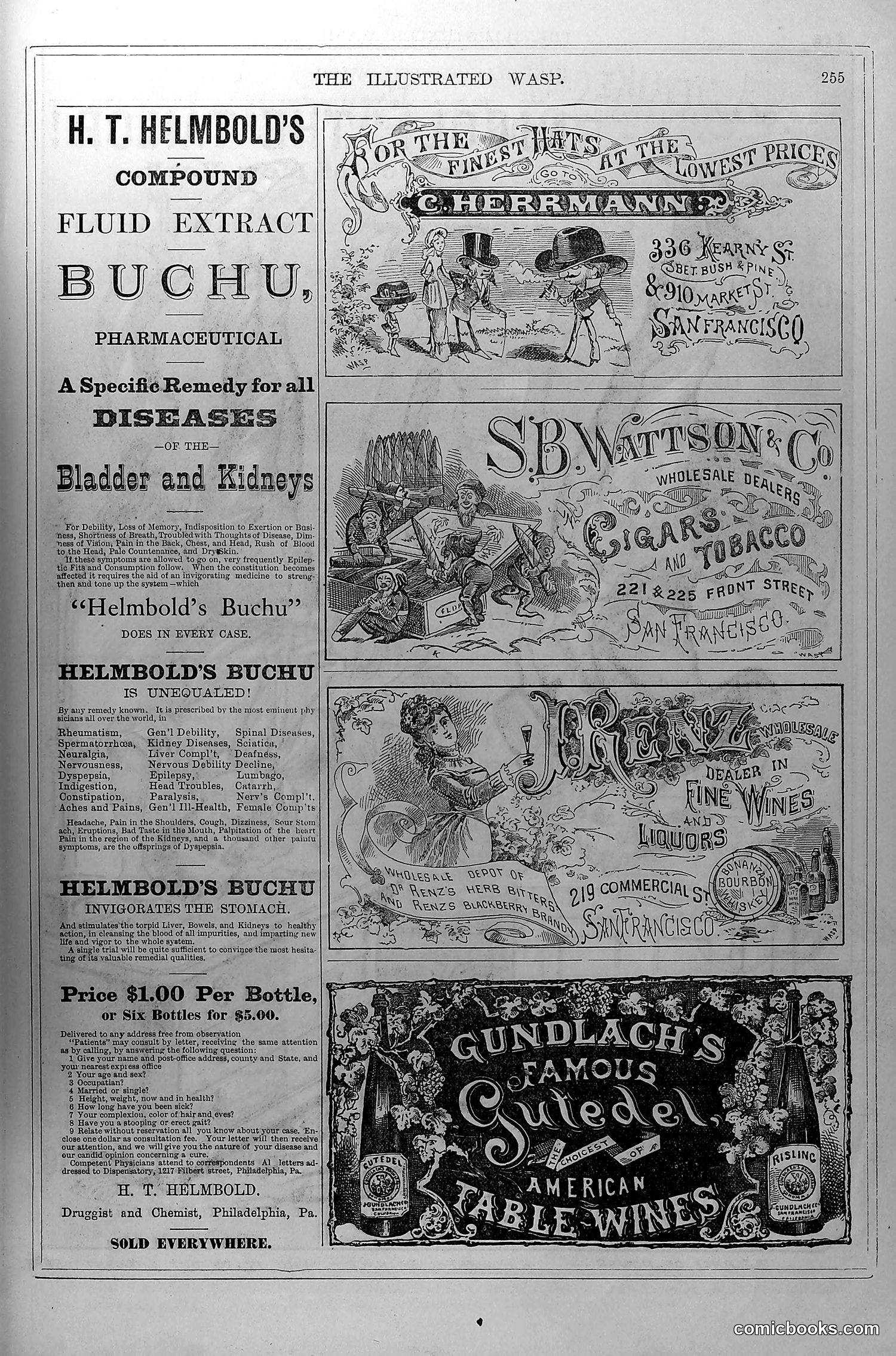 The Wasp — November 8, 1879 — page 16 of 18