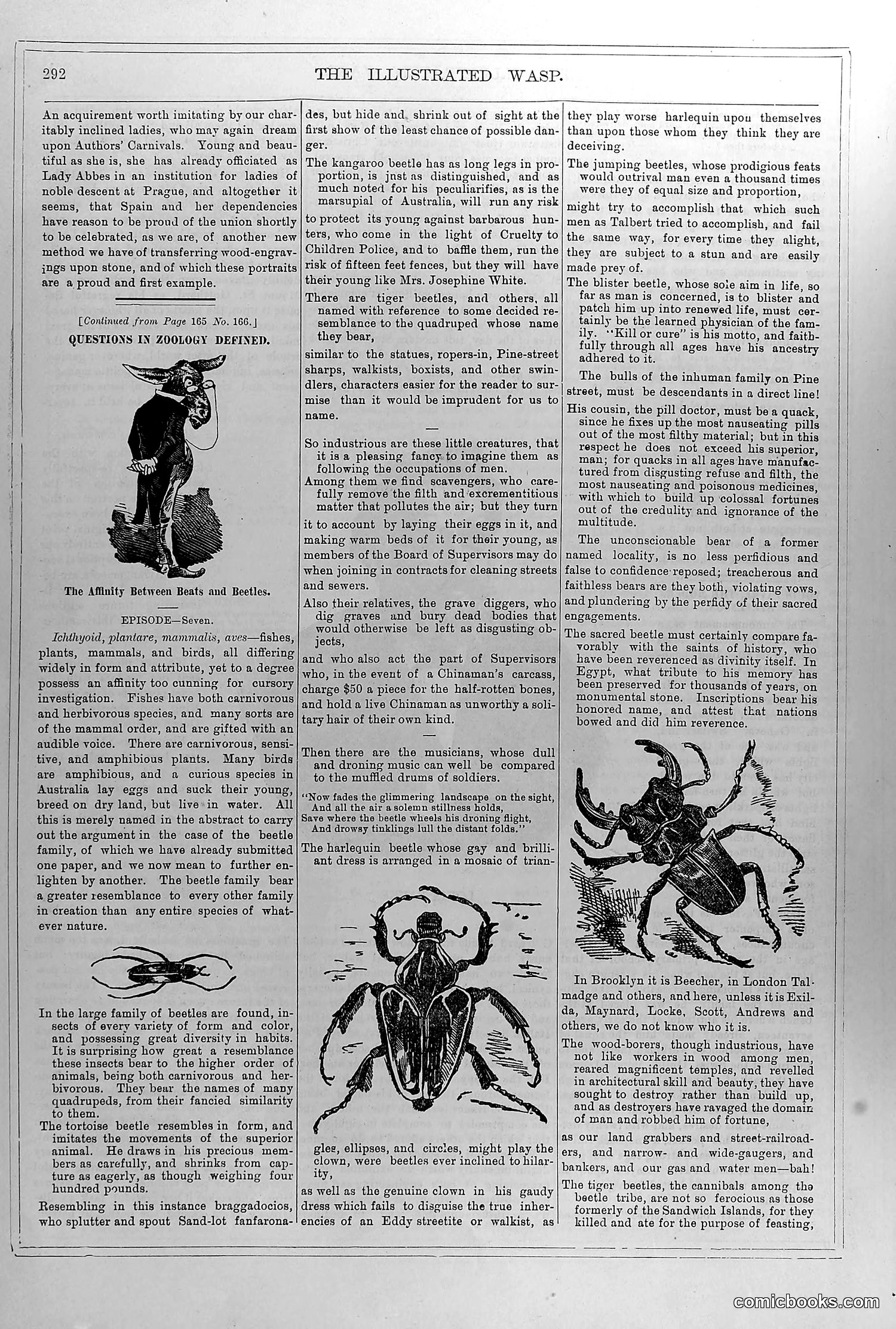 The Wasp — November 29, 1879 — page 5 of 18