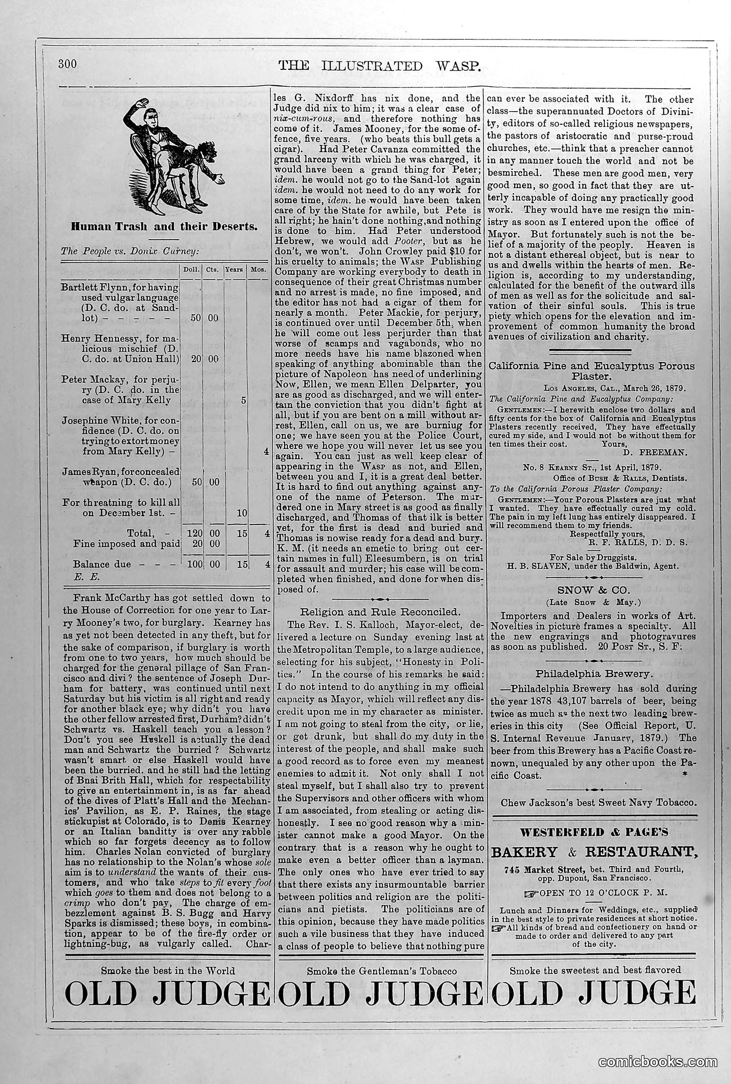 The Wasp — November 29, 1879 — page 13 of 18