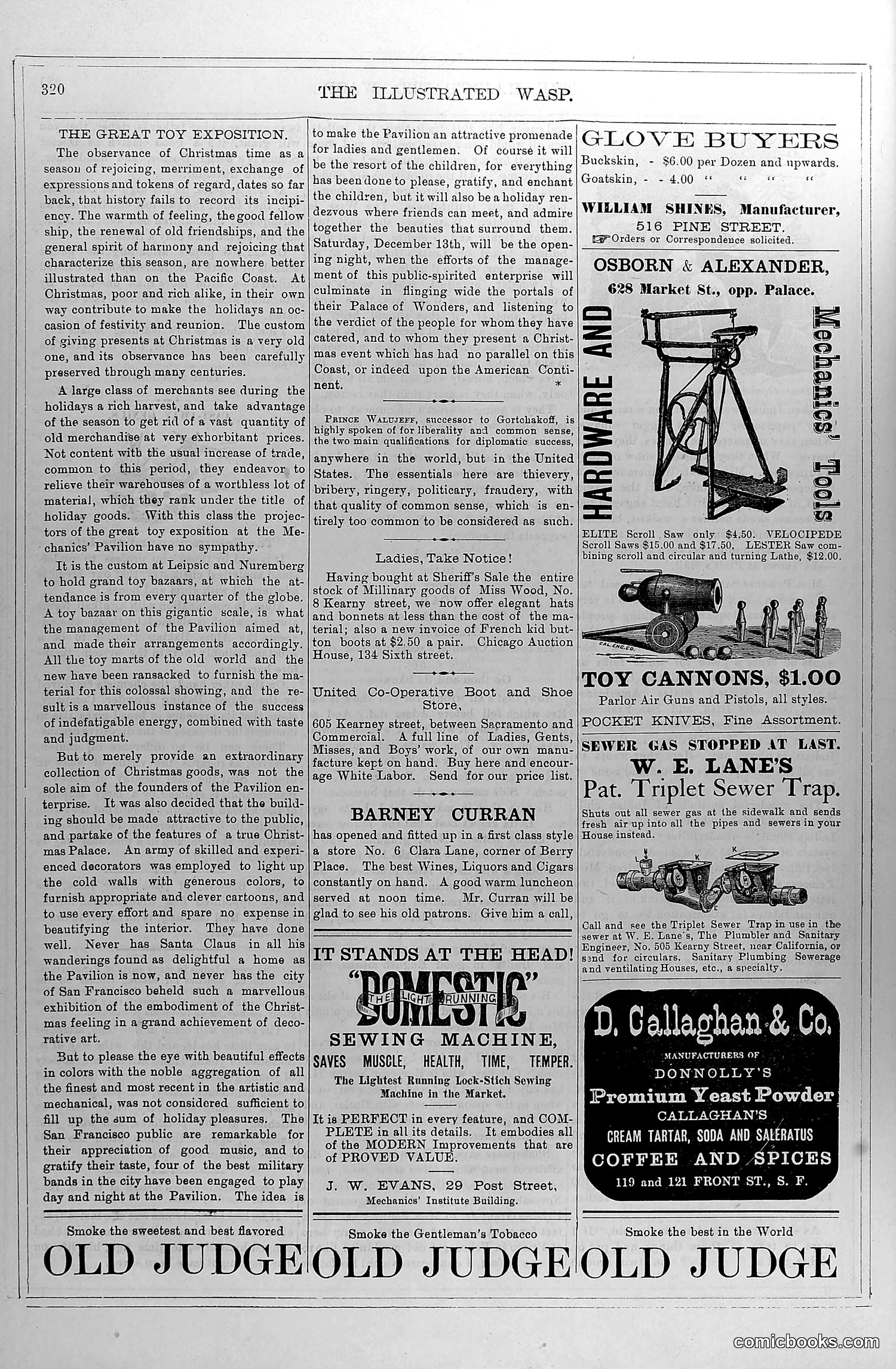 The Wasp — December 13, 1879 — page 13 of 18