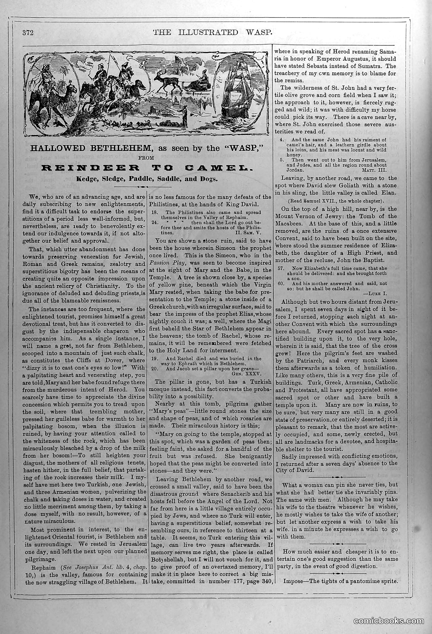 The Wasp — January 1880 — page 5 of 18