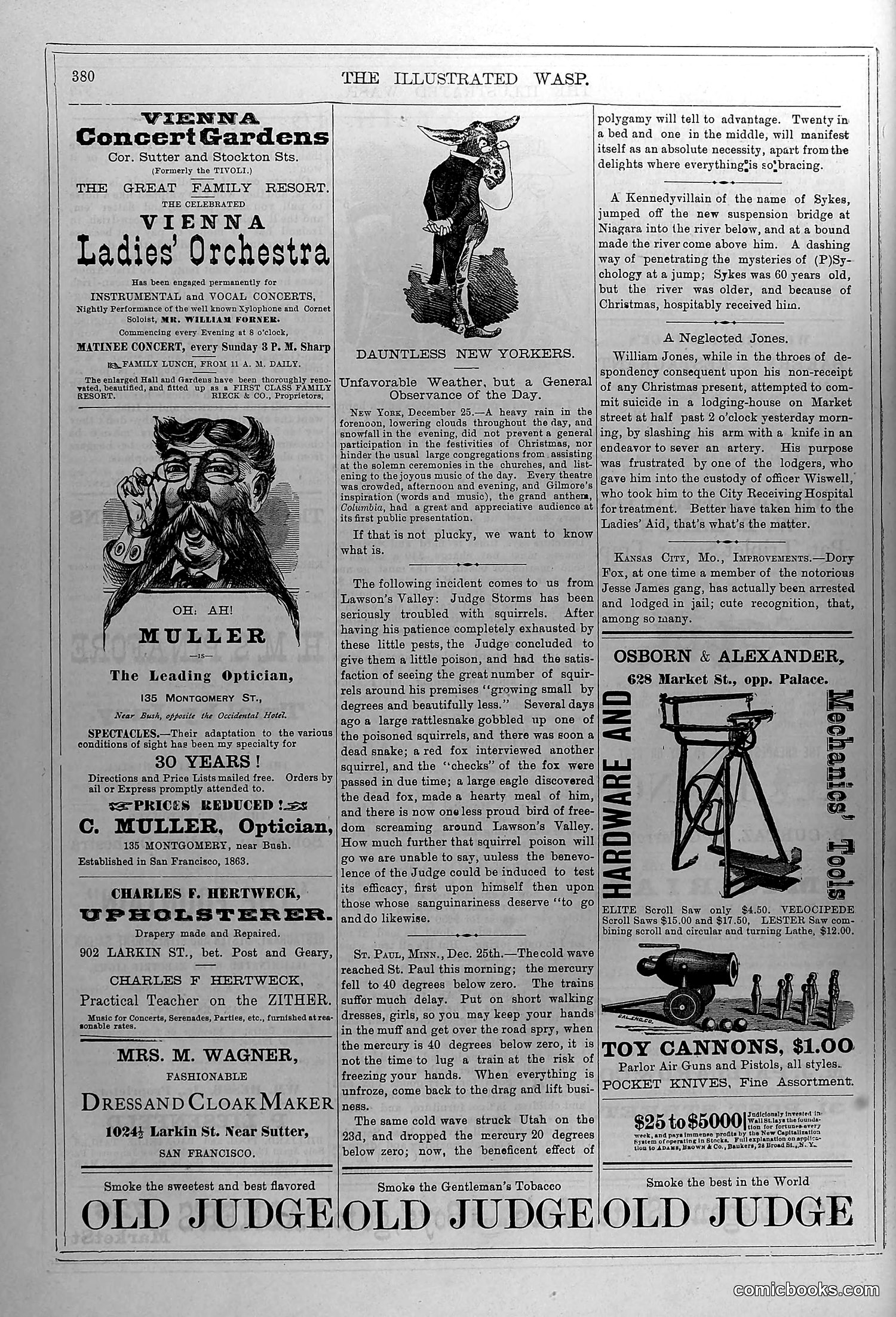 The Wasp — January 1880 — page 13 of 18