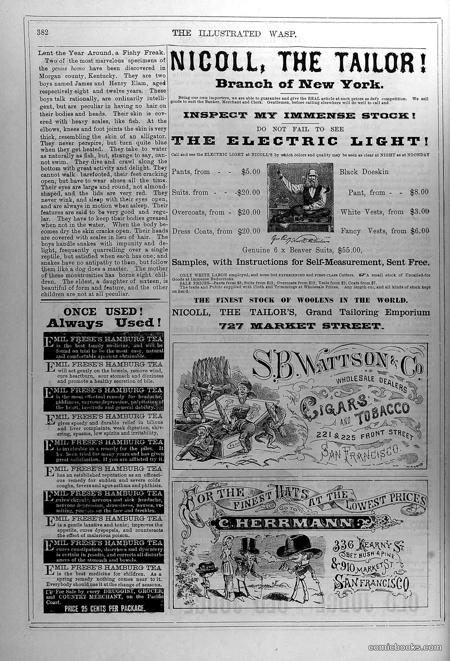 The Wasp — January 1880 — page 15 of 18