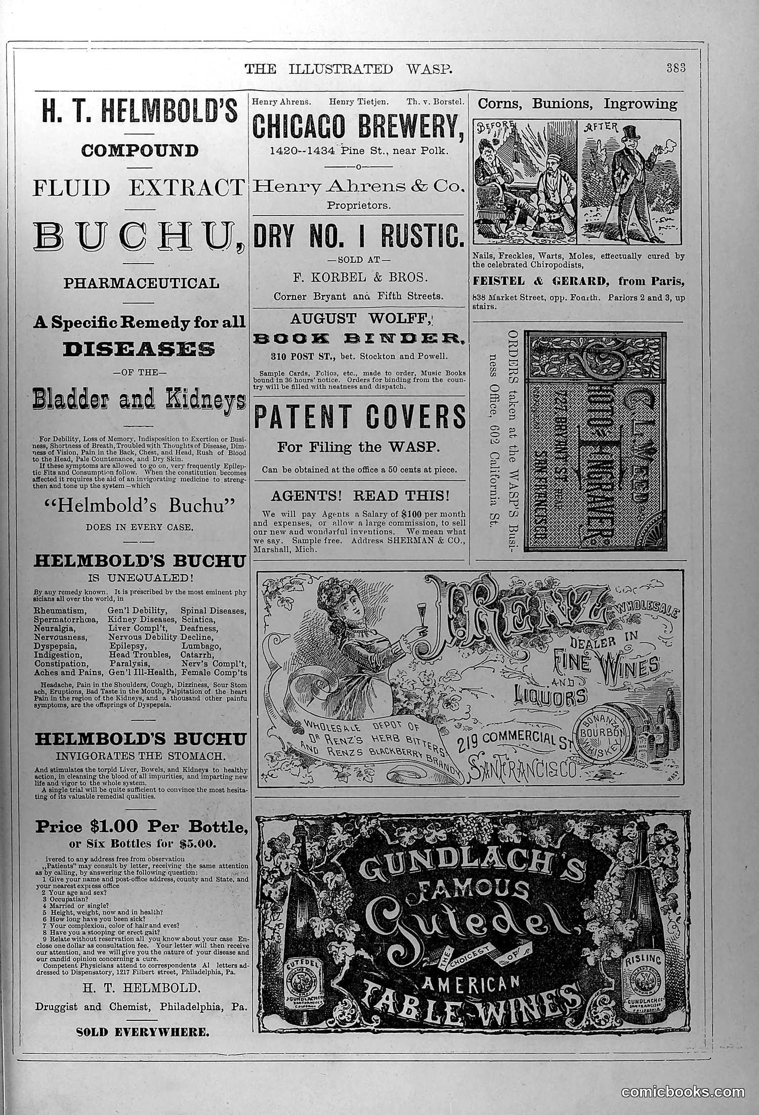 The Wasp — January 1880 — page 16 of 18