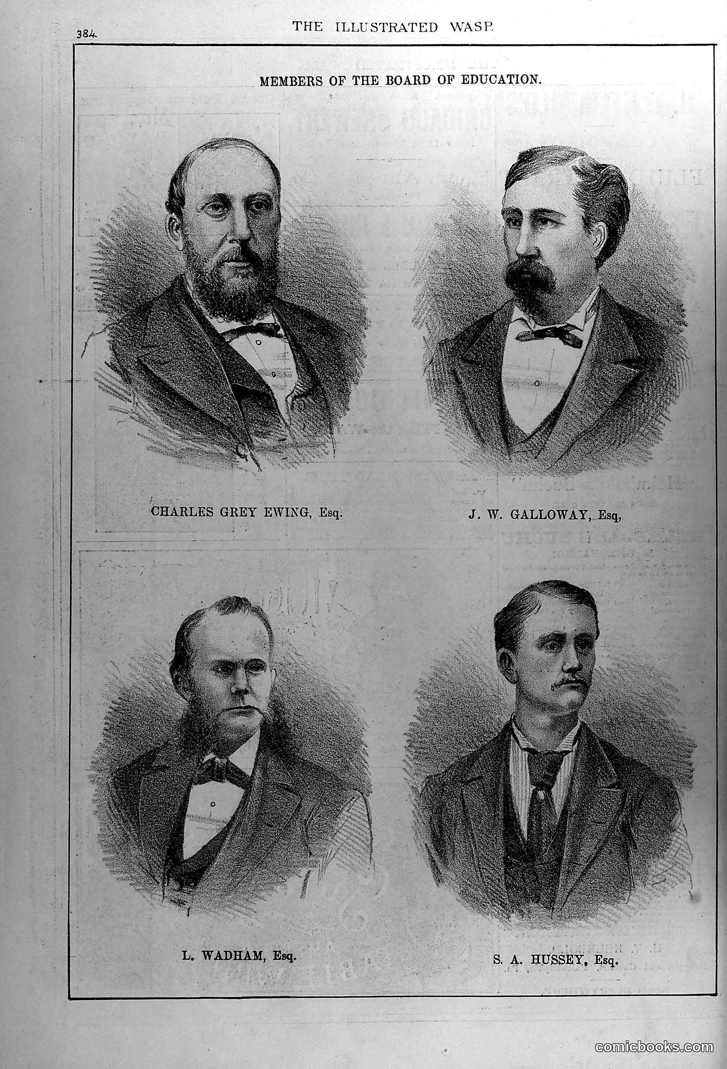 The Wasp — January 1880 — page 17 of 18