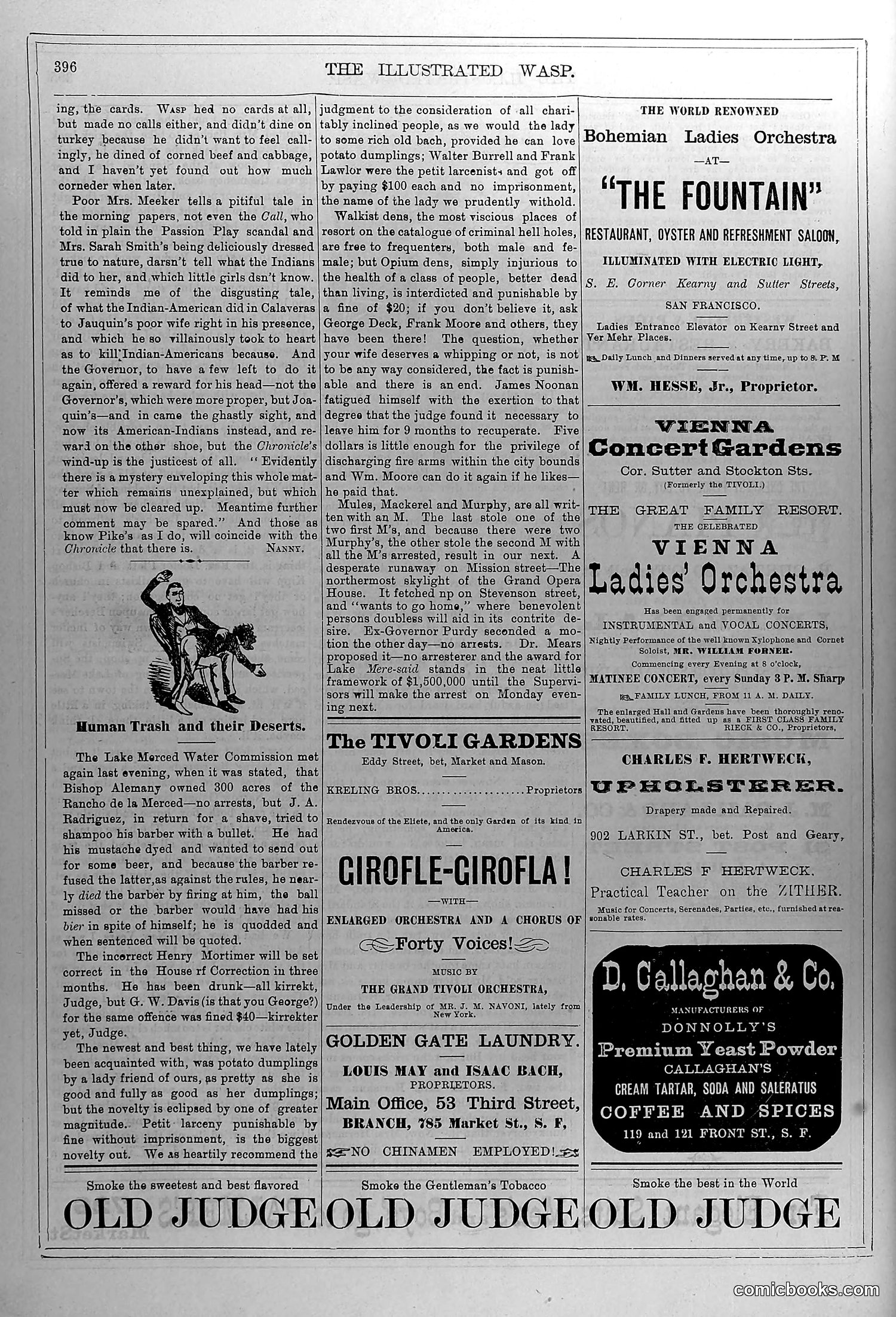 The Wasp — January 10, 1880 — page 13 of 18