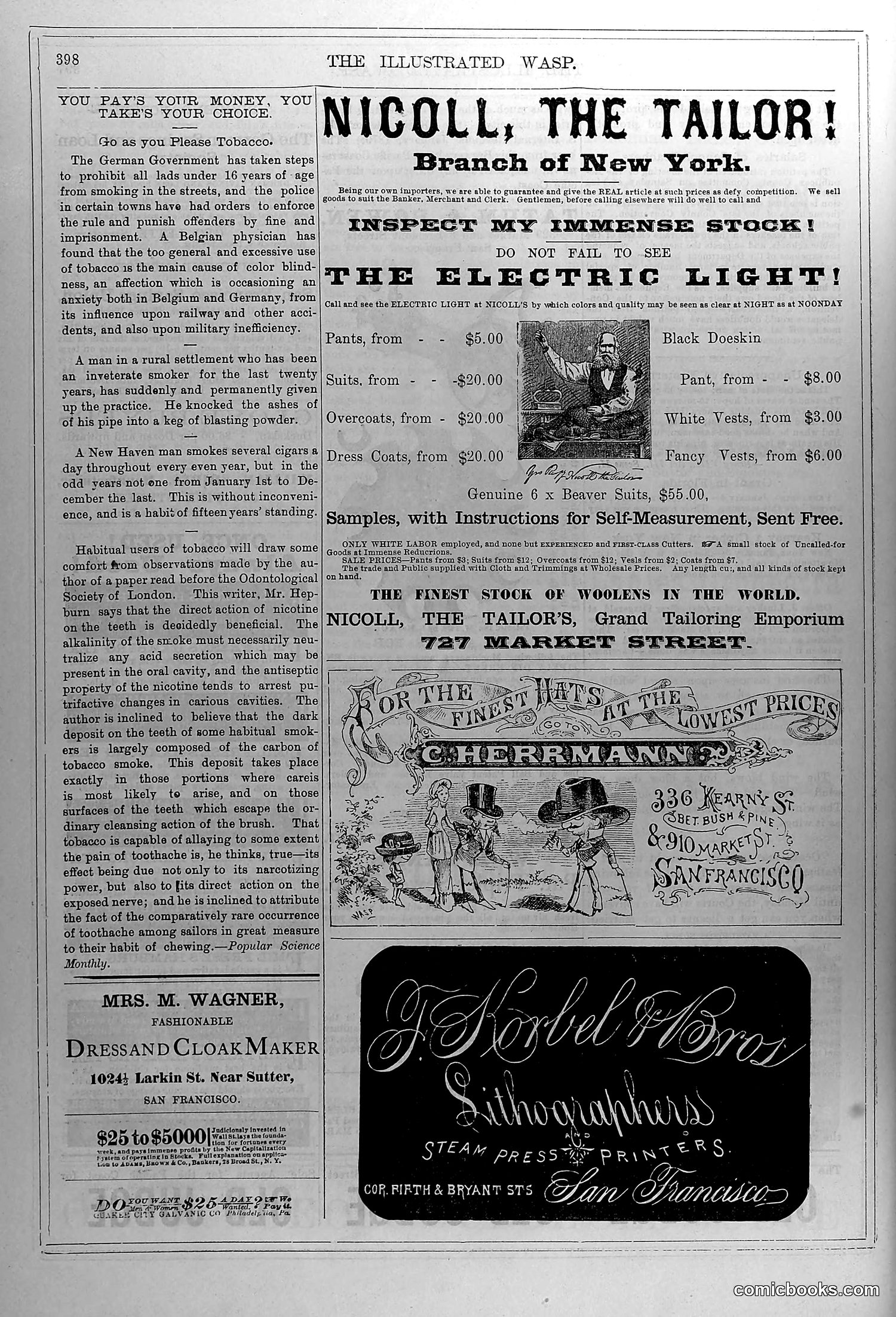 The Wasp — January 10, 1880 — page 15 of 18
