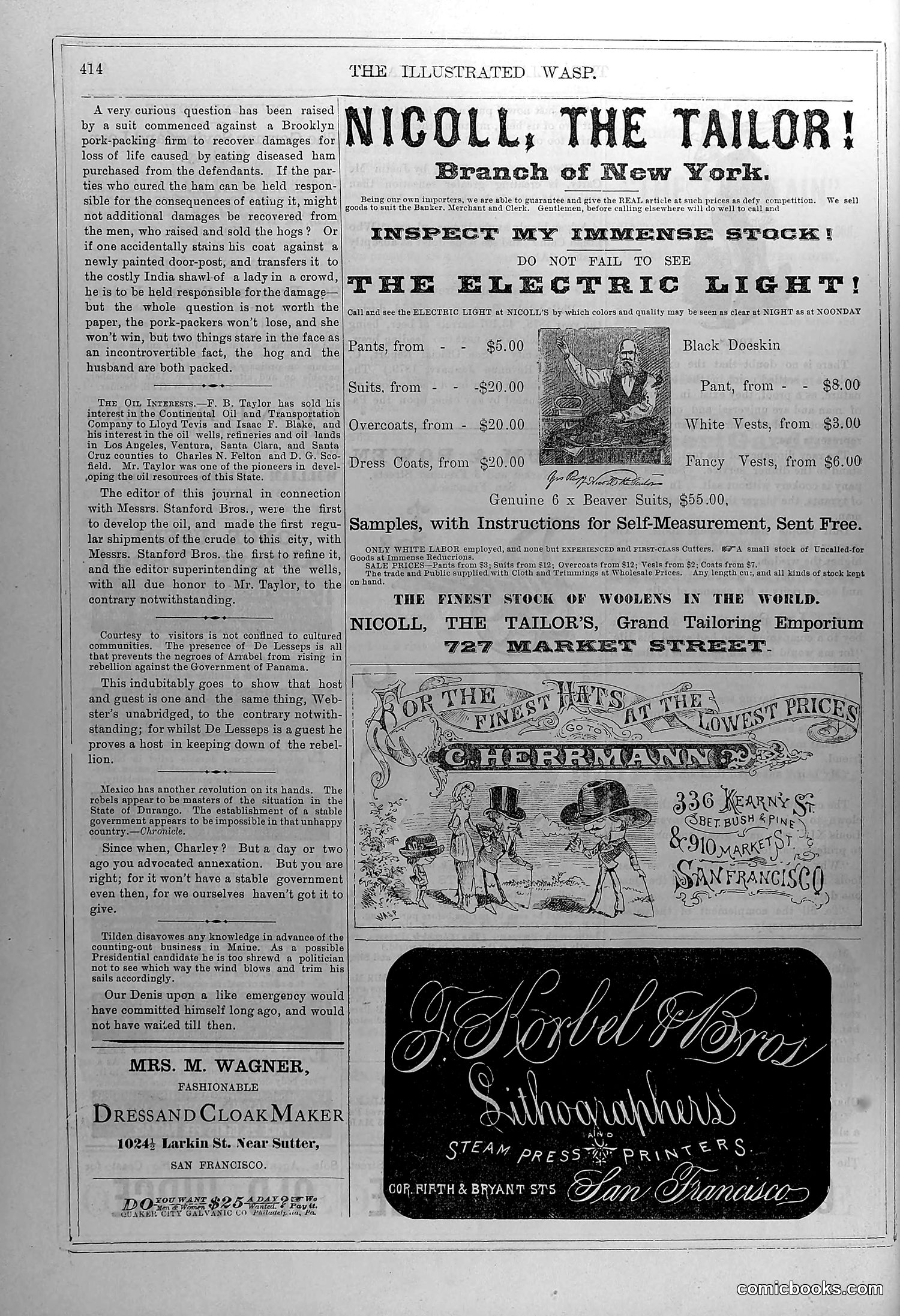 The Wasp — January 17, 1880 — page 13 of 16