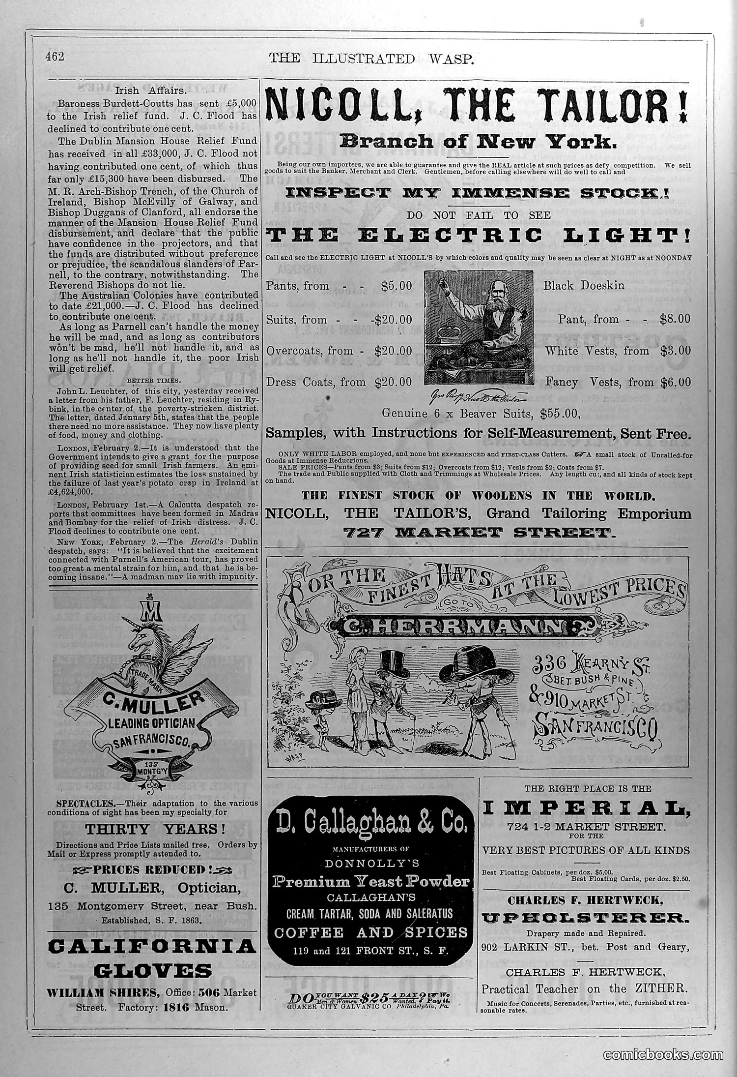 The Wasp — February 7, 1880 — page 17 of 20