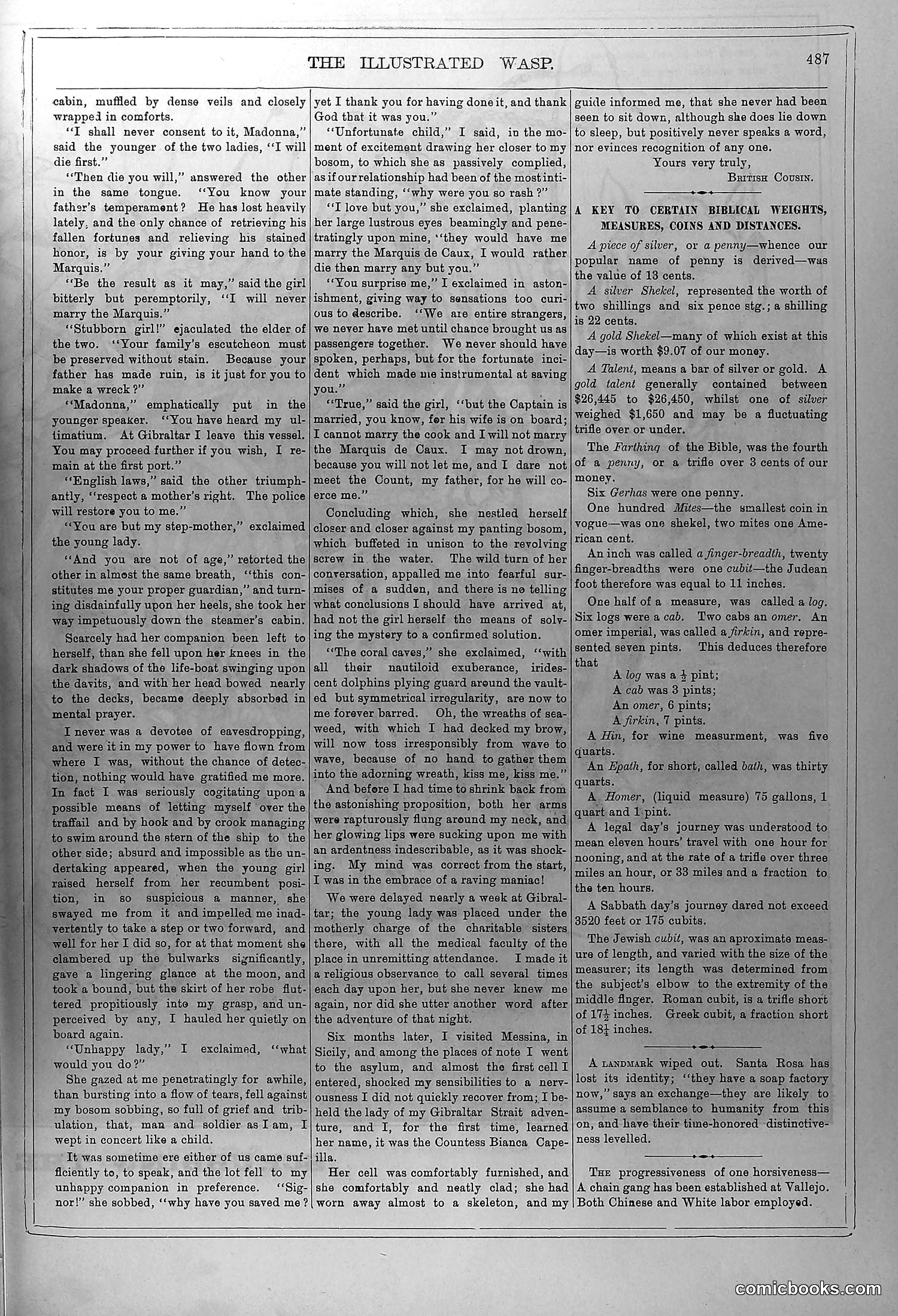 The Wasp — February 21, 1880 — page 8 of 18